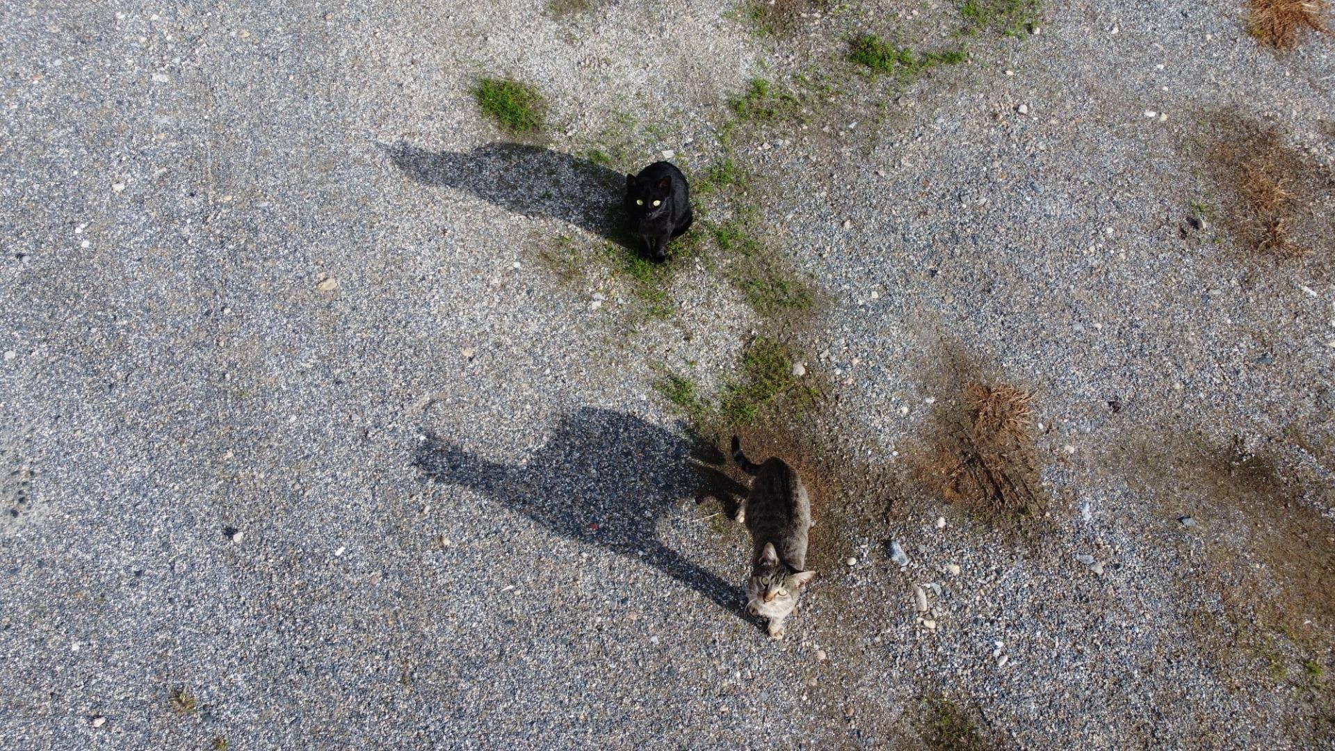 Casas o chalets-Venta-Barreiros-1973015-Foto-66