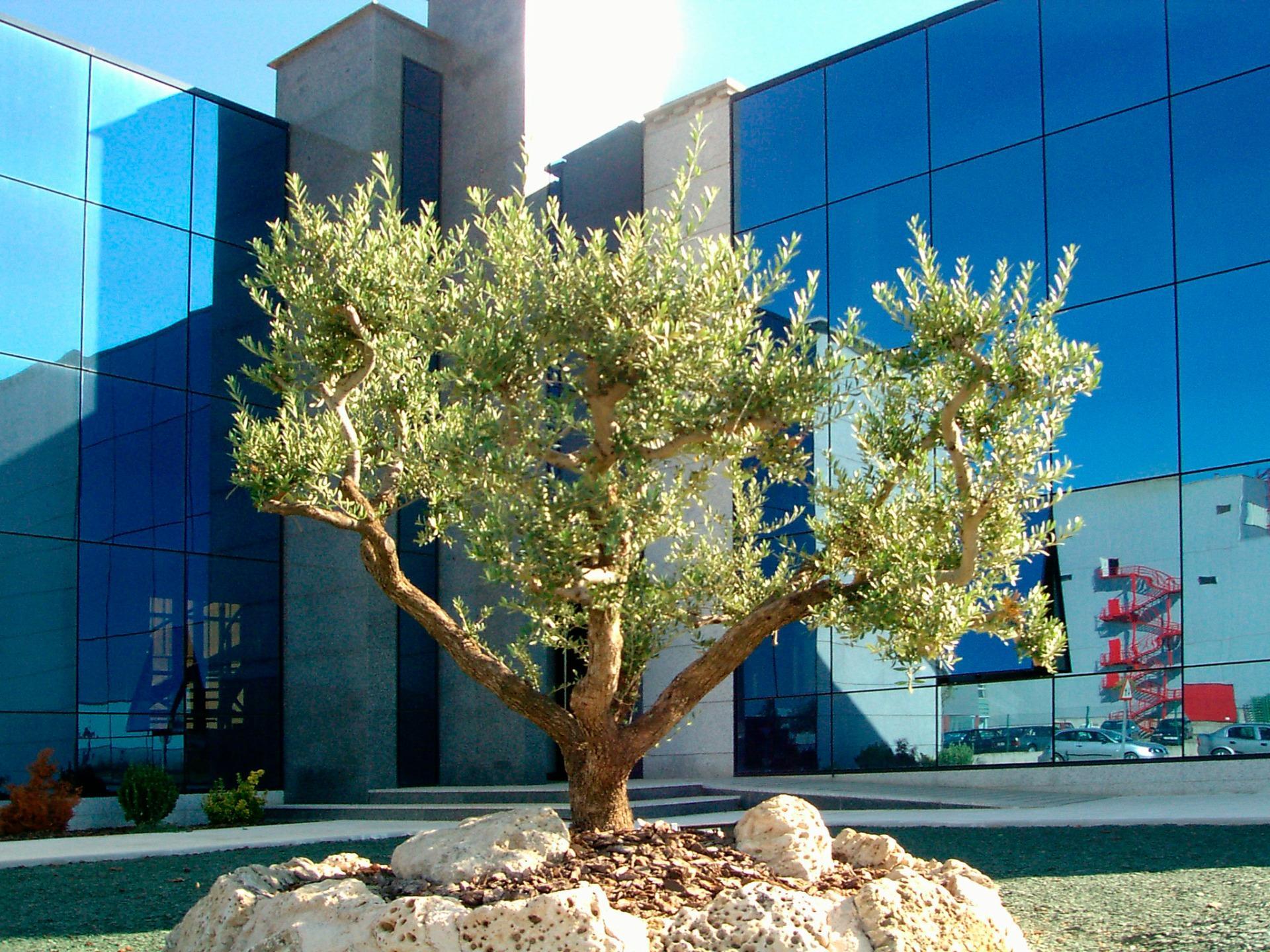 Edificios-Venta-Venta de BaÃ±os-1973621-Foto-4