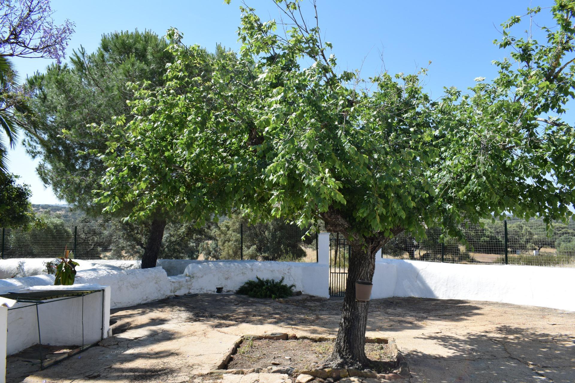 Pisos-Venta-Villanueva de los Castillejos-1731018-Foto-12