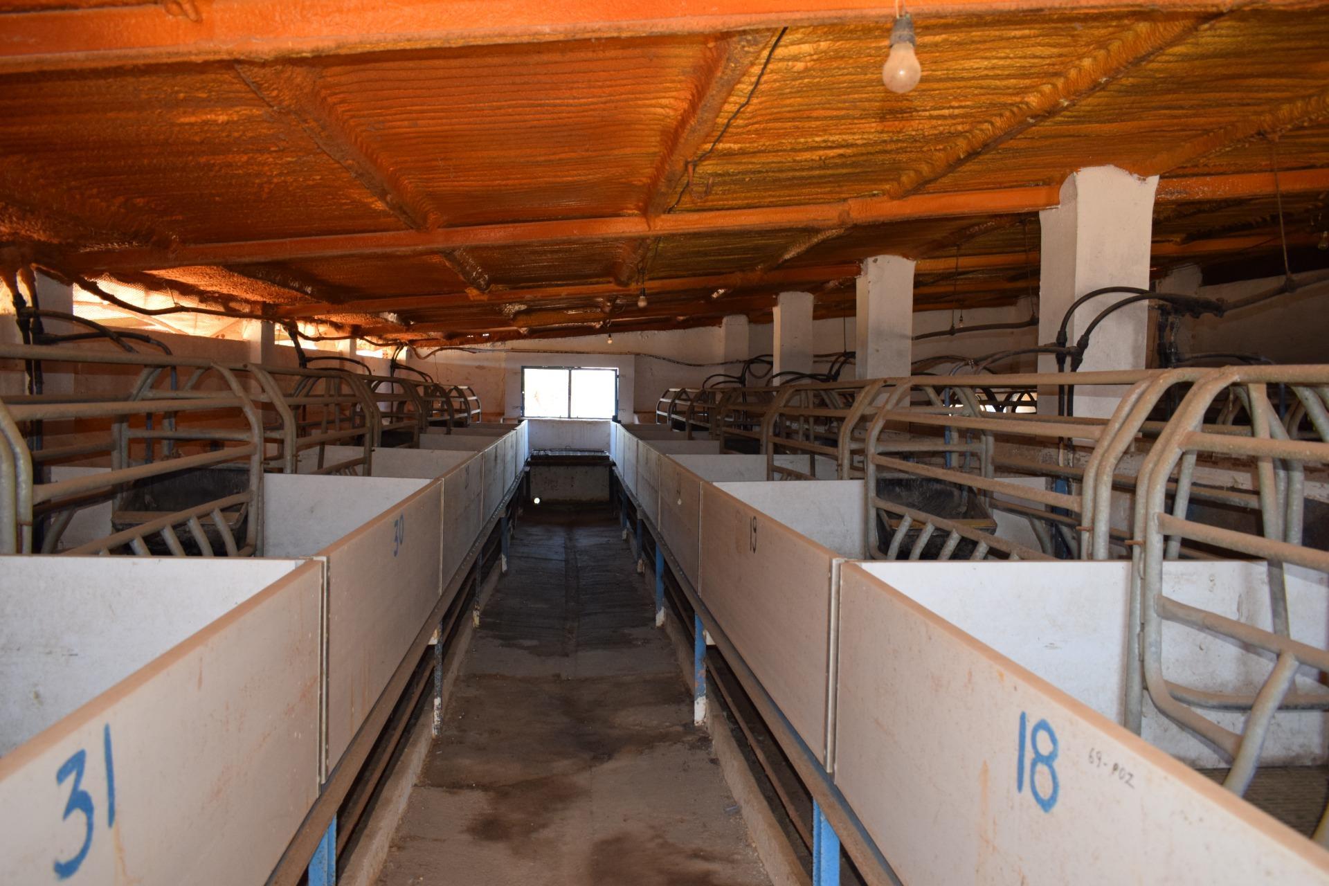 Pisos-Venta-Villanueva de los Castillejos-1731018-Foto-83