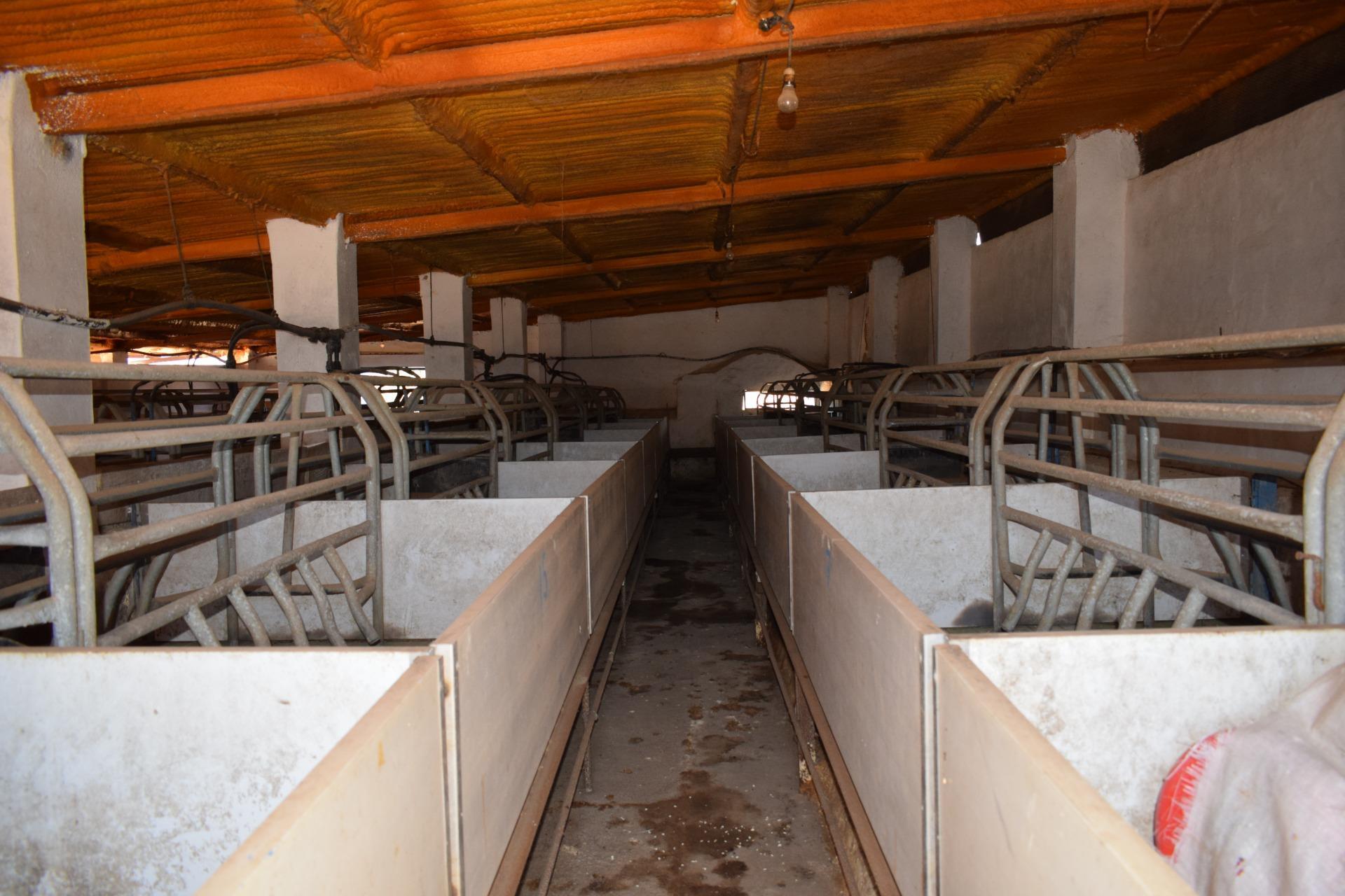 Pisos-Venta-Villanueva de los Castillejos-1731018-Foto-85