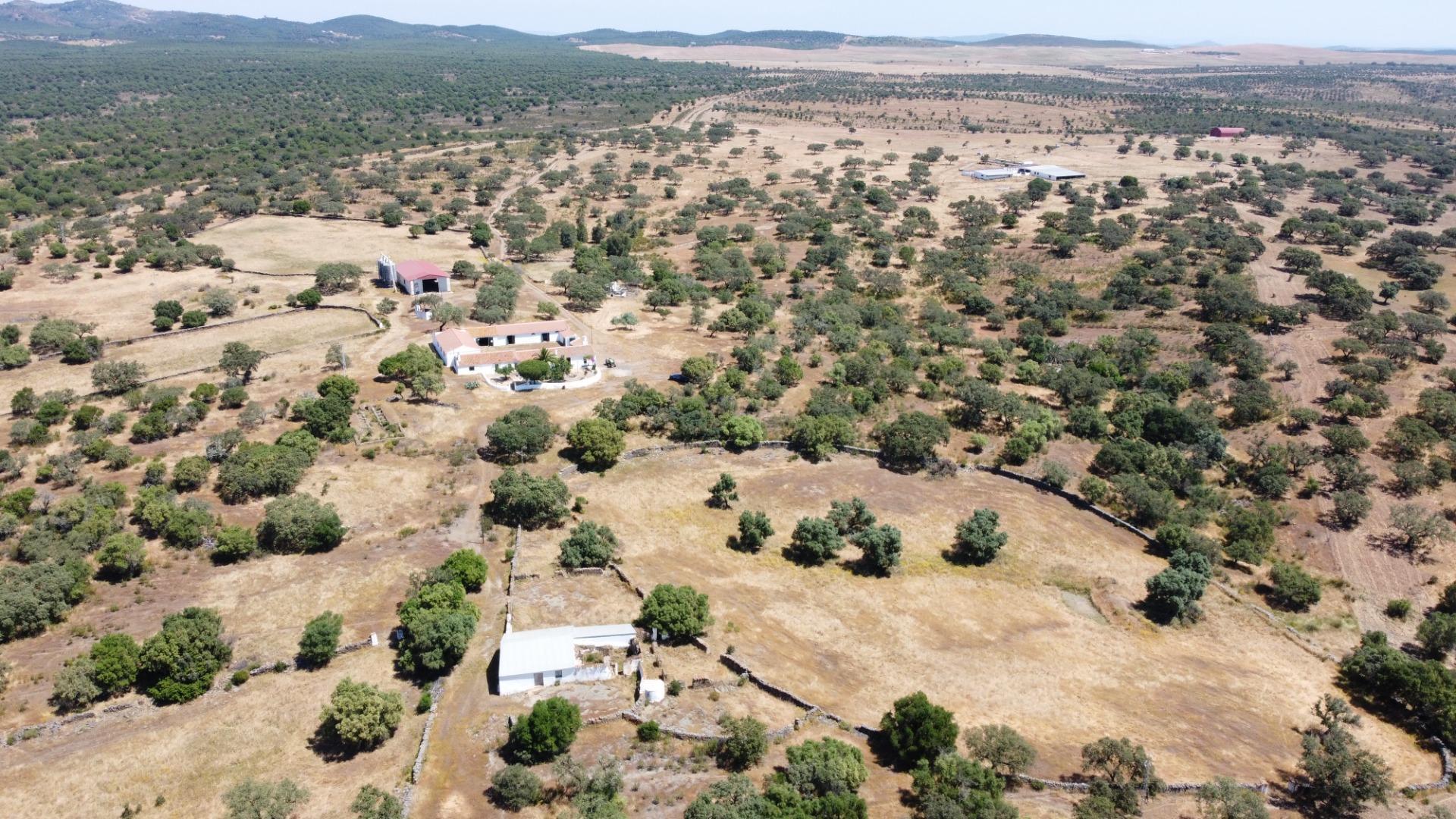 Pisos-Venta-Villanueva de los Castillejos-1731018-Foto-94