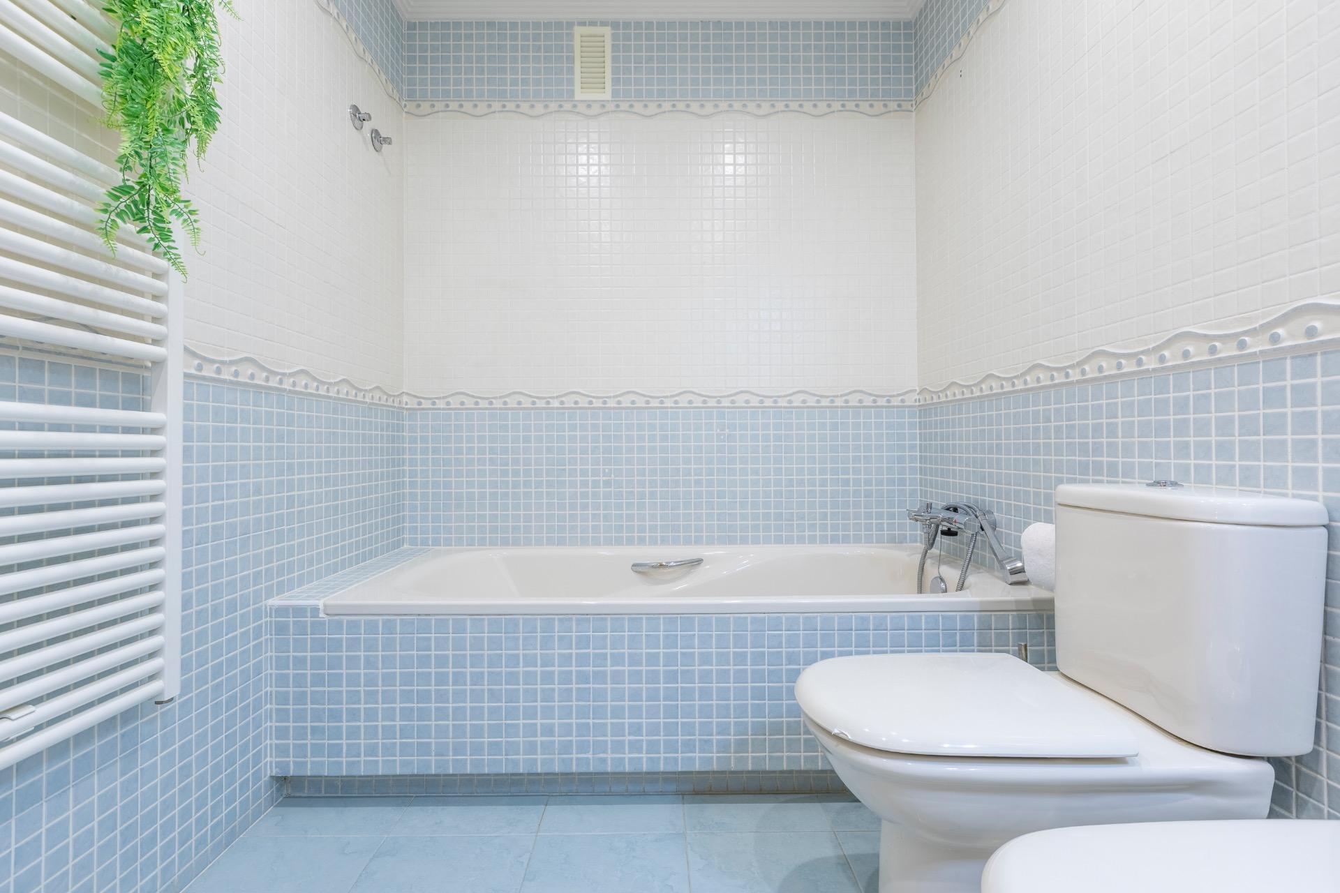 Casas o chalets-Venta-Laguna de Duero-1973612-Foto-56