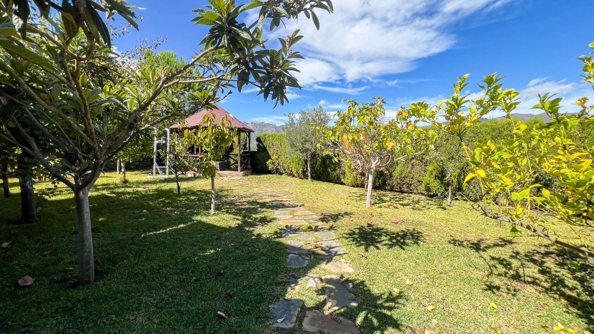 Casas o chalets-Venta-Marbella-1429883-Foto-58