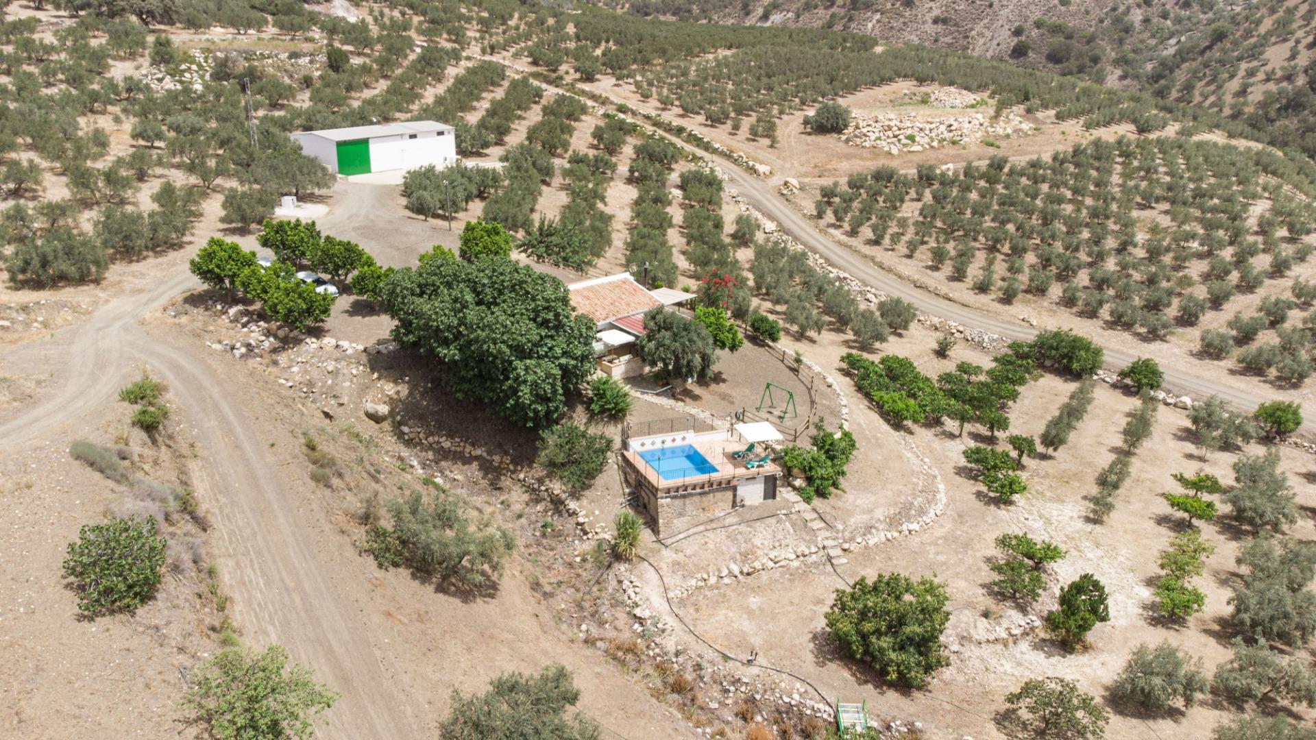 Fincas y solares-Venta-1203583