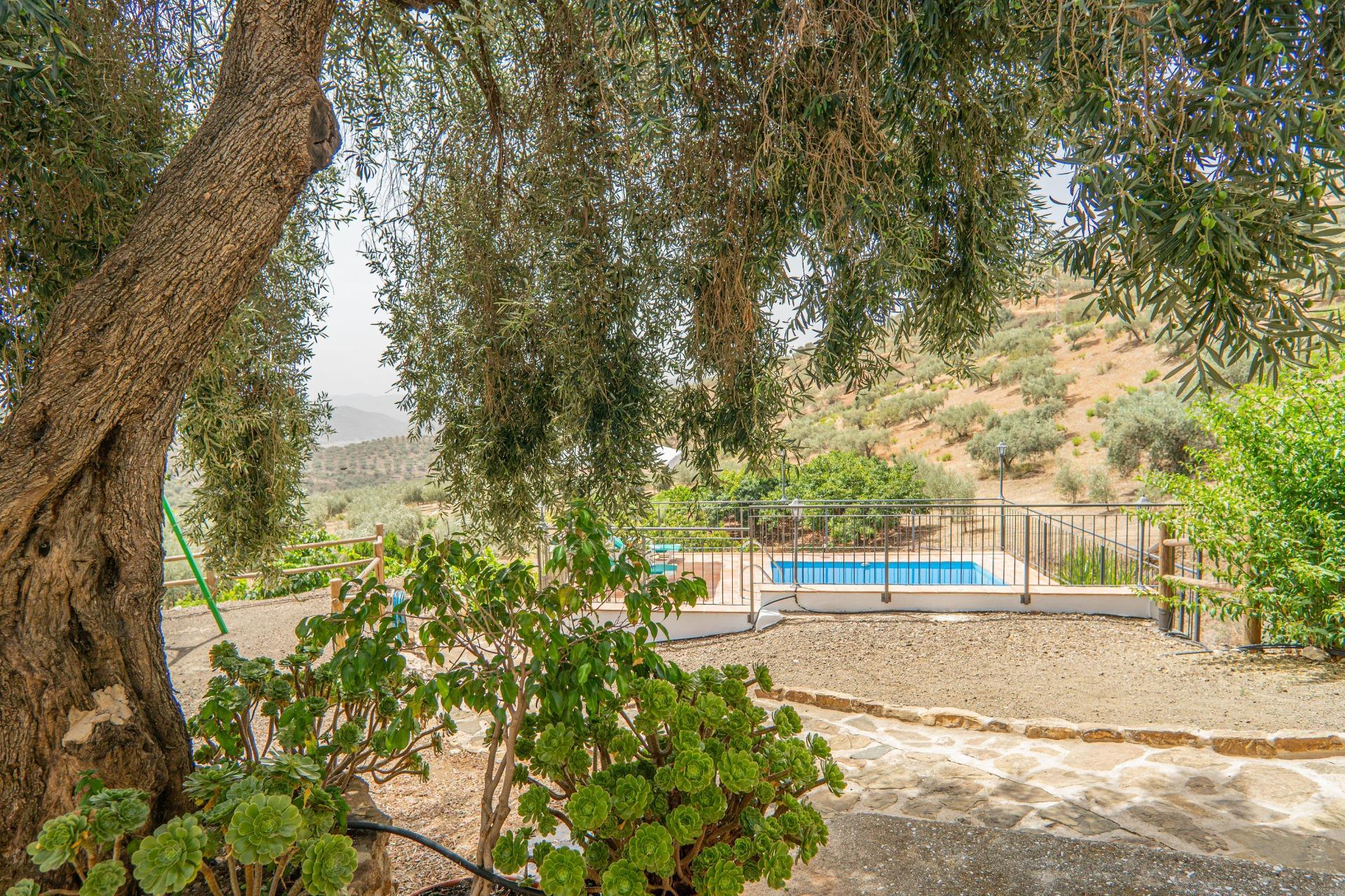 Fincas y solares-Venta-Colmenar de Oreja-1203583-Foto-42