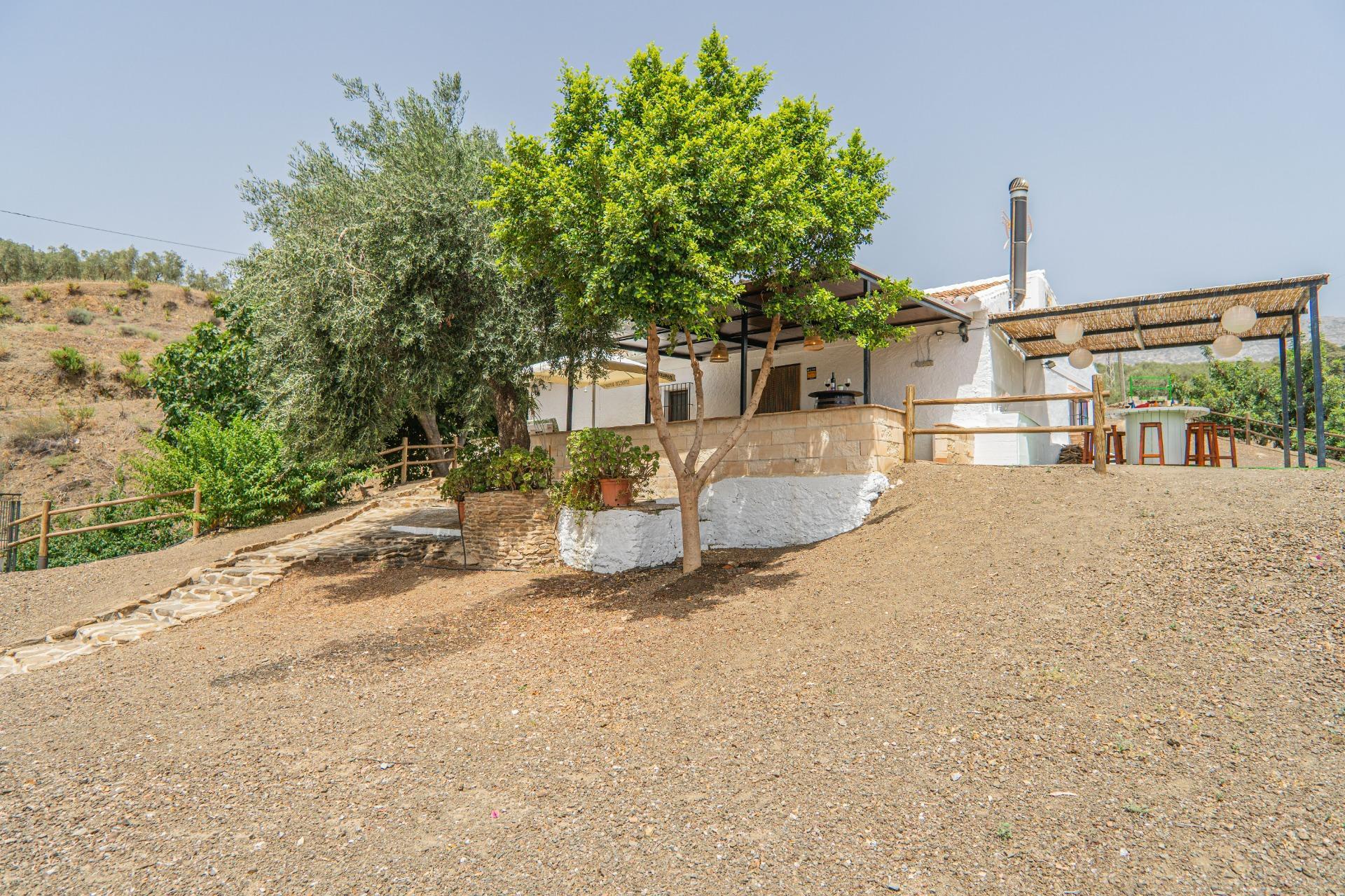 Fincas y solares-Venta-Colmenar de Oreja-1203583-Foto-48