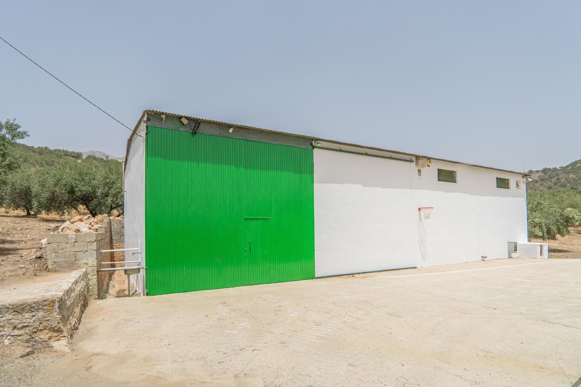 Fincas y solares-Venta-Colmenar de Oreja-1203583-Foto-65