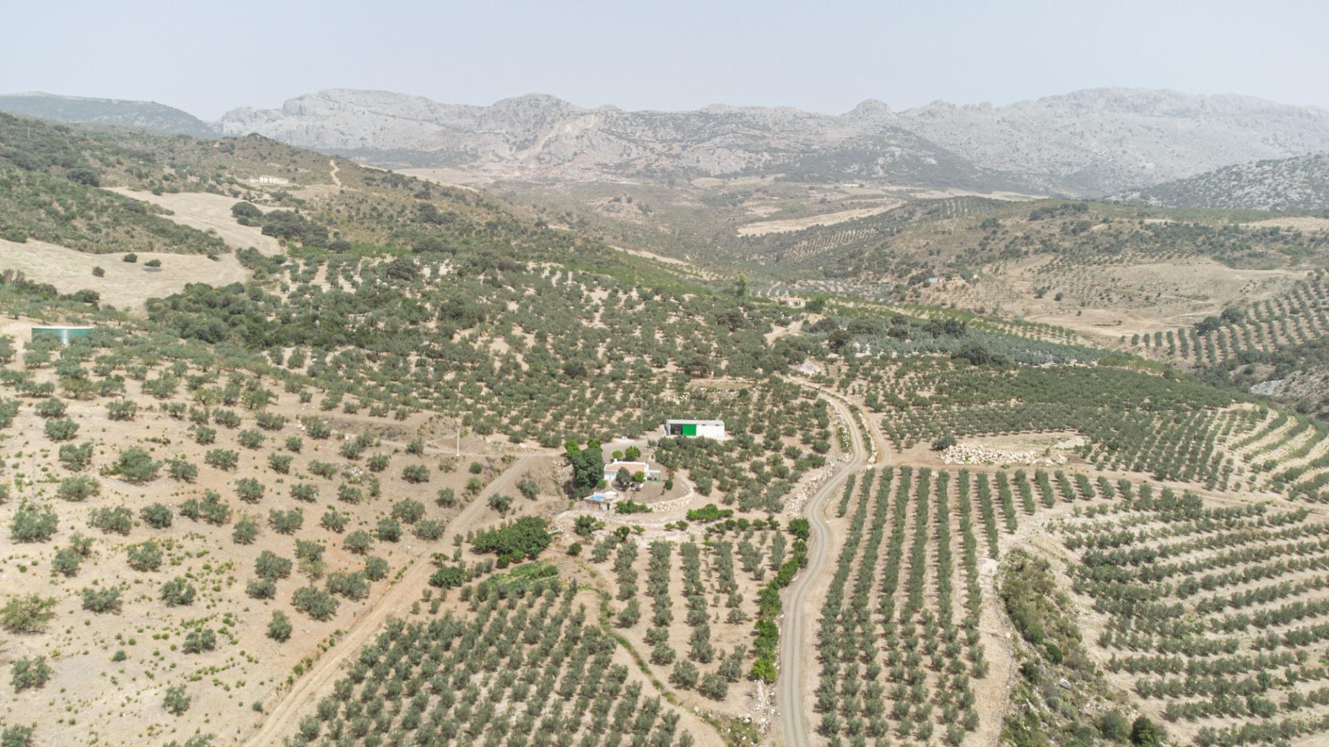 Fincas y solares-Venta-Colmenar de Oreja-1203583-Foto-69