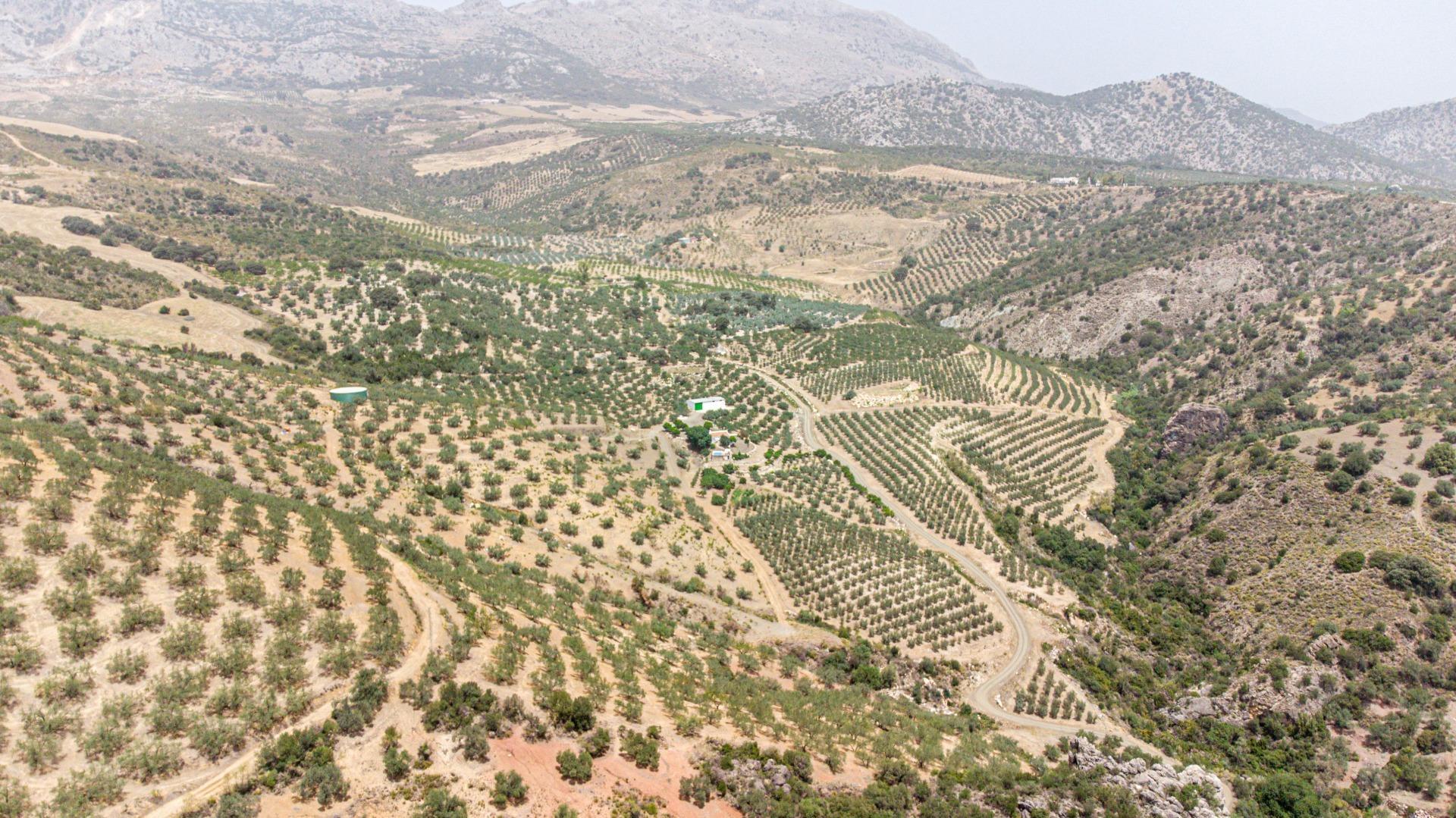 Fincas y solares-Venta-Colmenar de Oreja-1203583-Foto-67