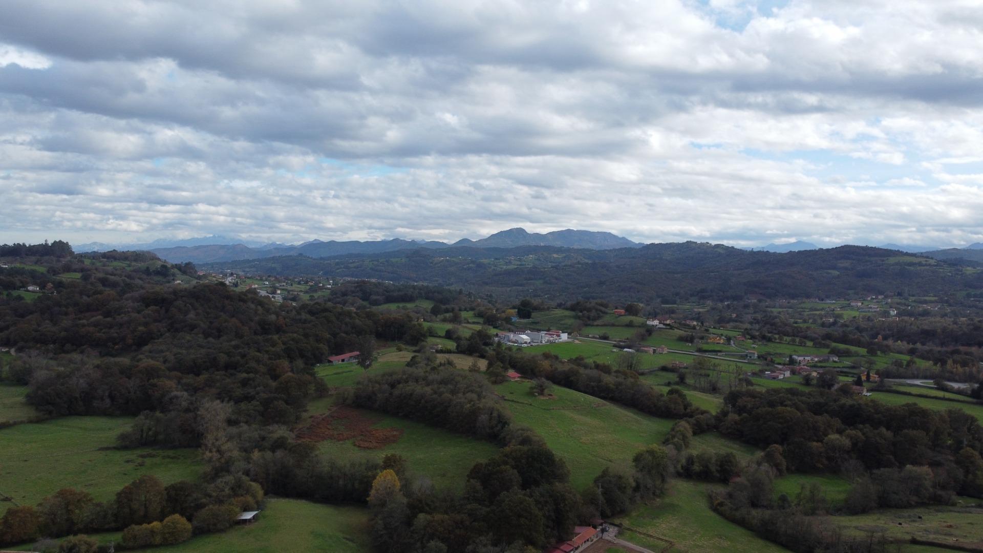 Casas o chalets-Venta-Siero-1973660-Foto-48