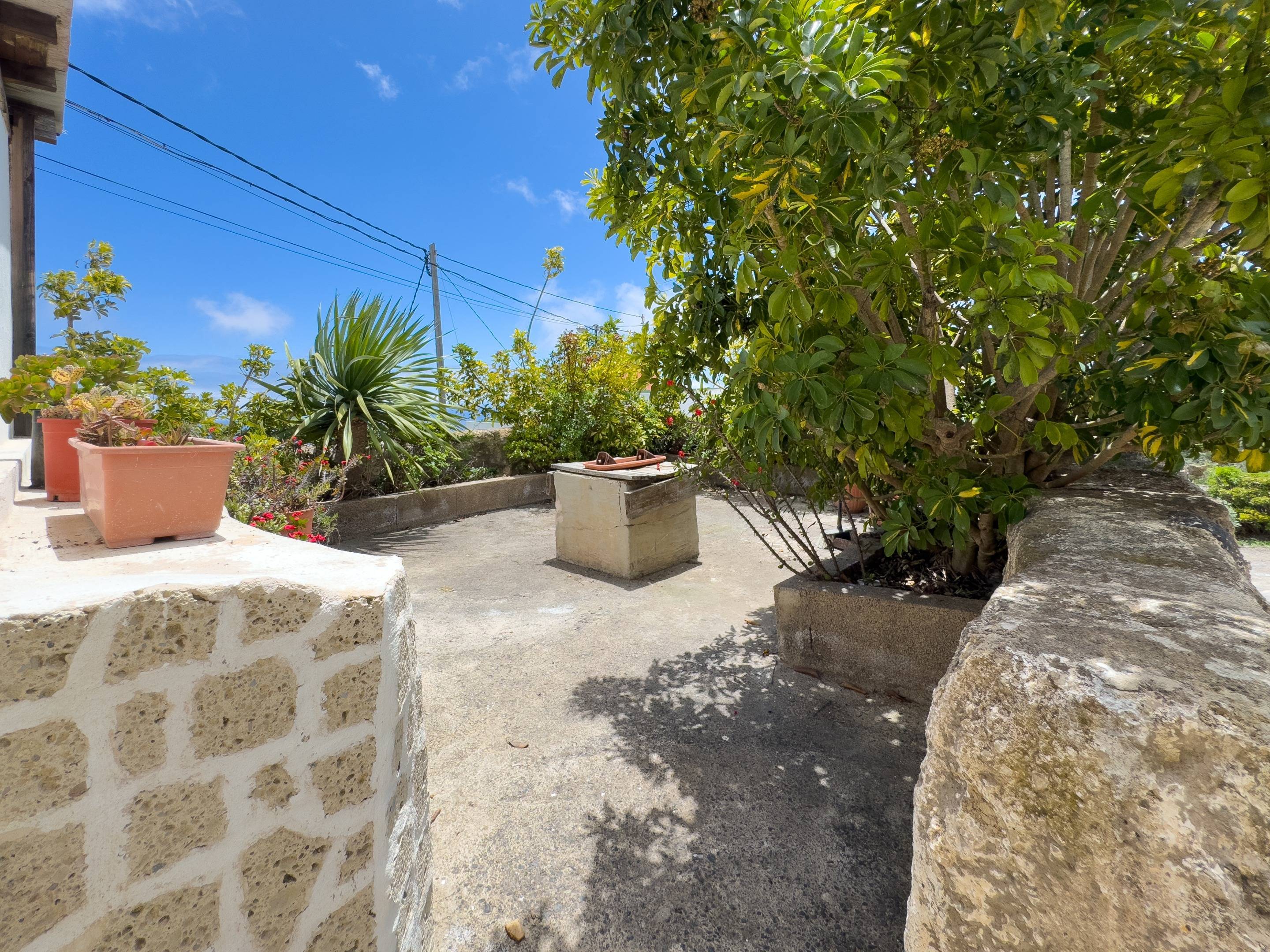 Pisos-Venta-Fasnia-1718296-Foto-43