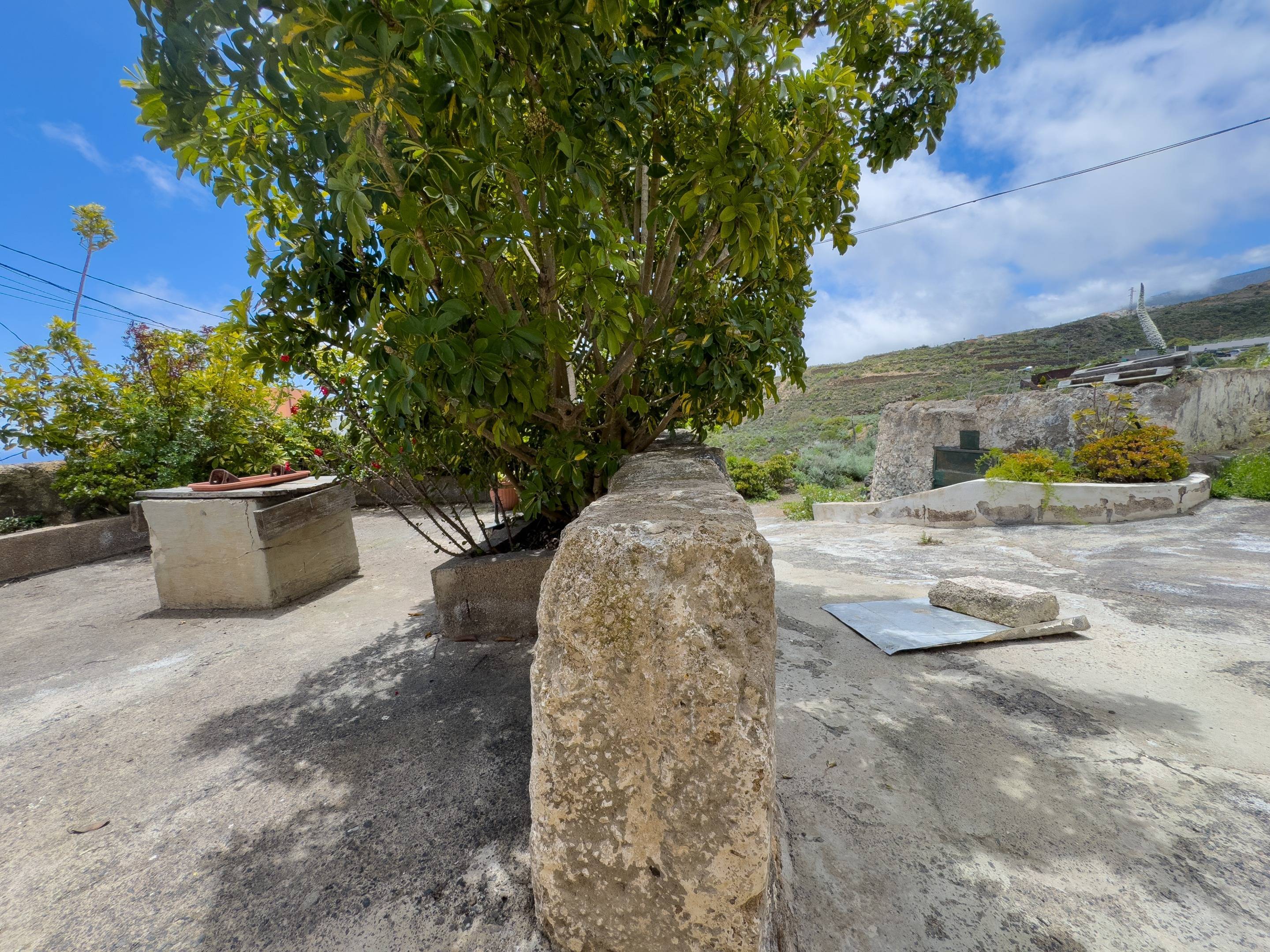 Pisos-Venta-Fasnia-1718296-Foto-44