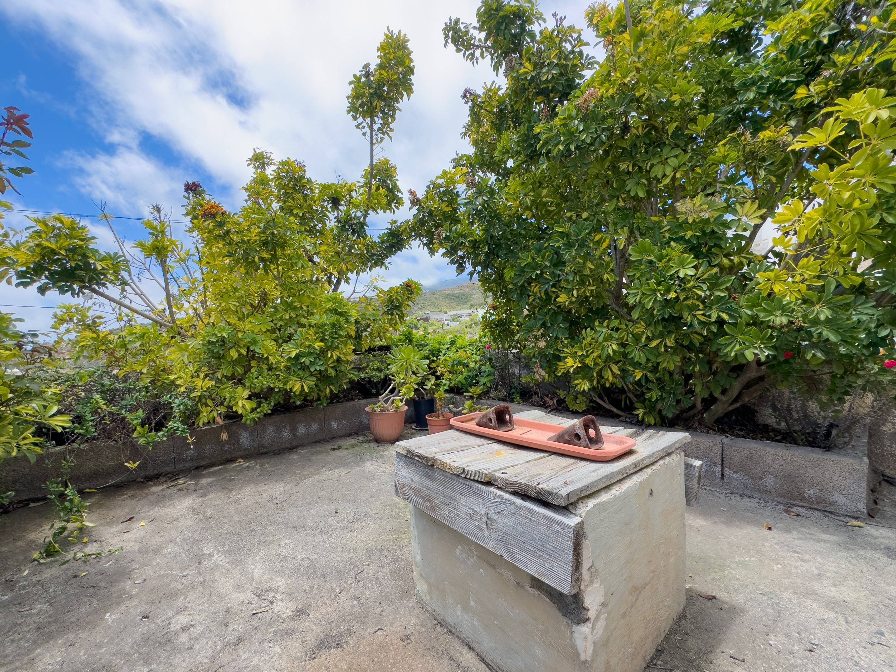 Pisos-Venta-Fasnia-1718296-Foto-45