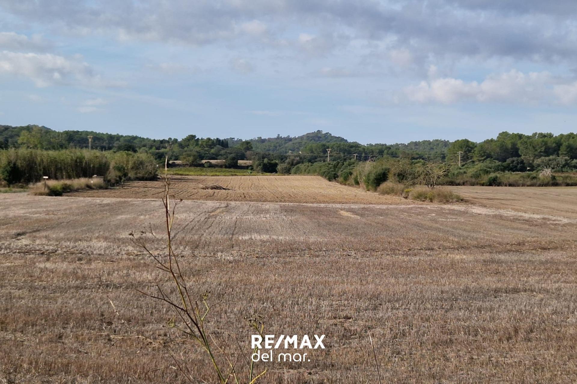 Fincas y solares-Venta-Porreres-1935646-Foto-7