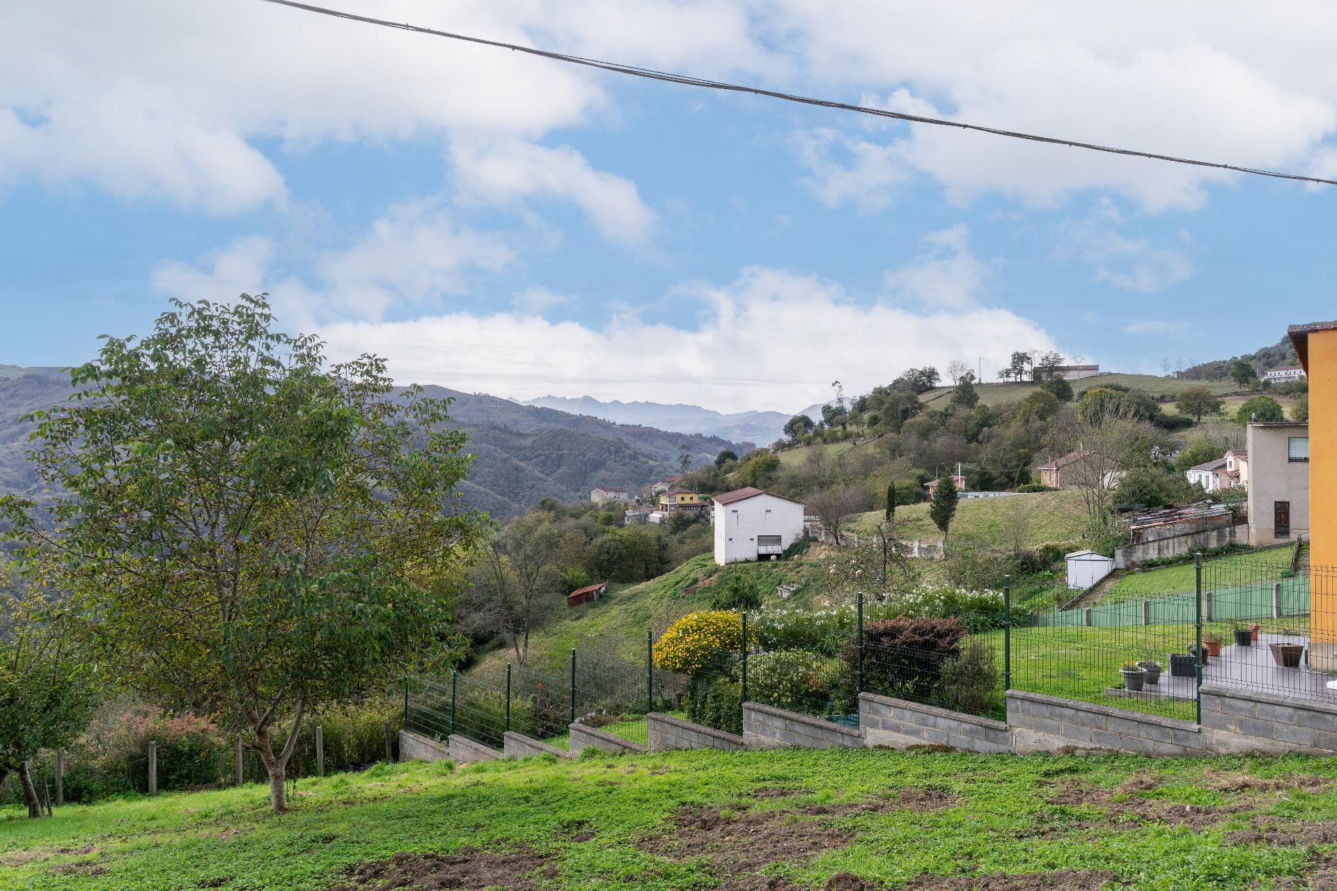 Casas o chalets-Venta-Mieres-1973663-Foto-4