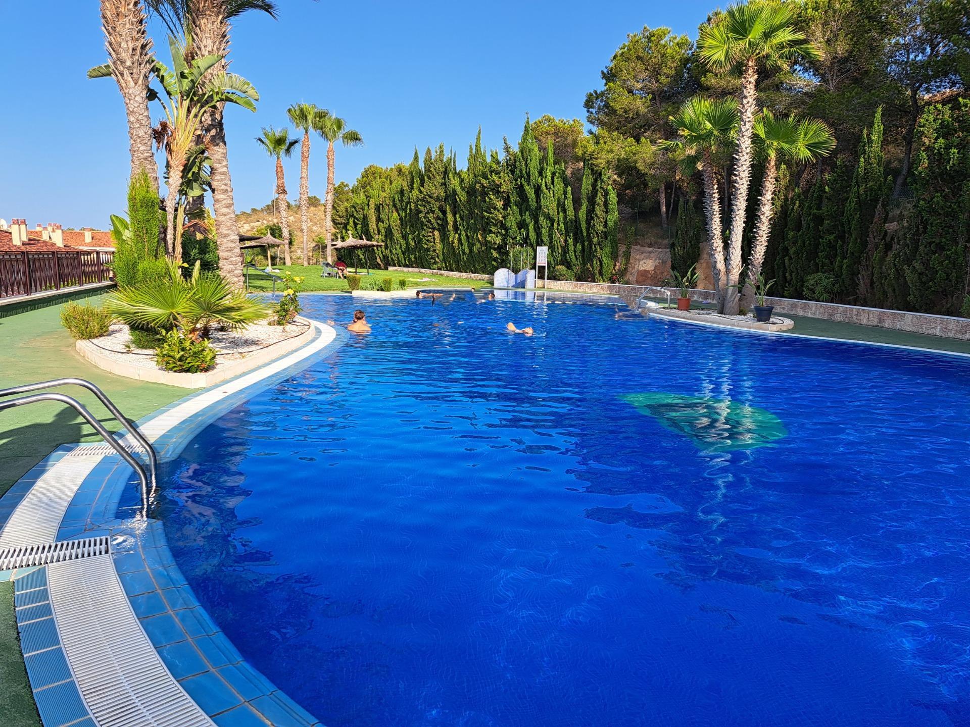 Pisos-Alquiler-Alicante-1901133-Foto-25