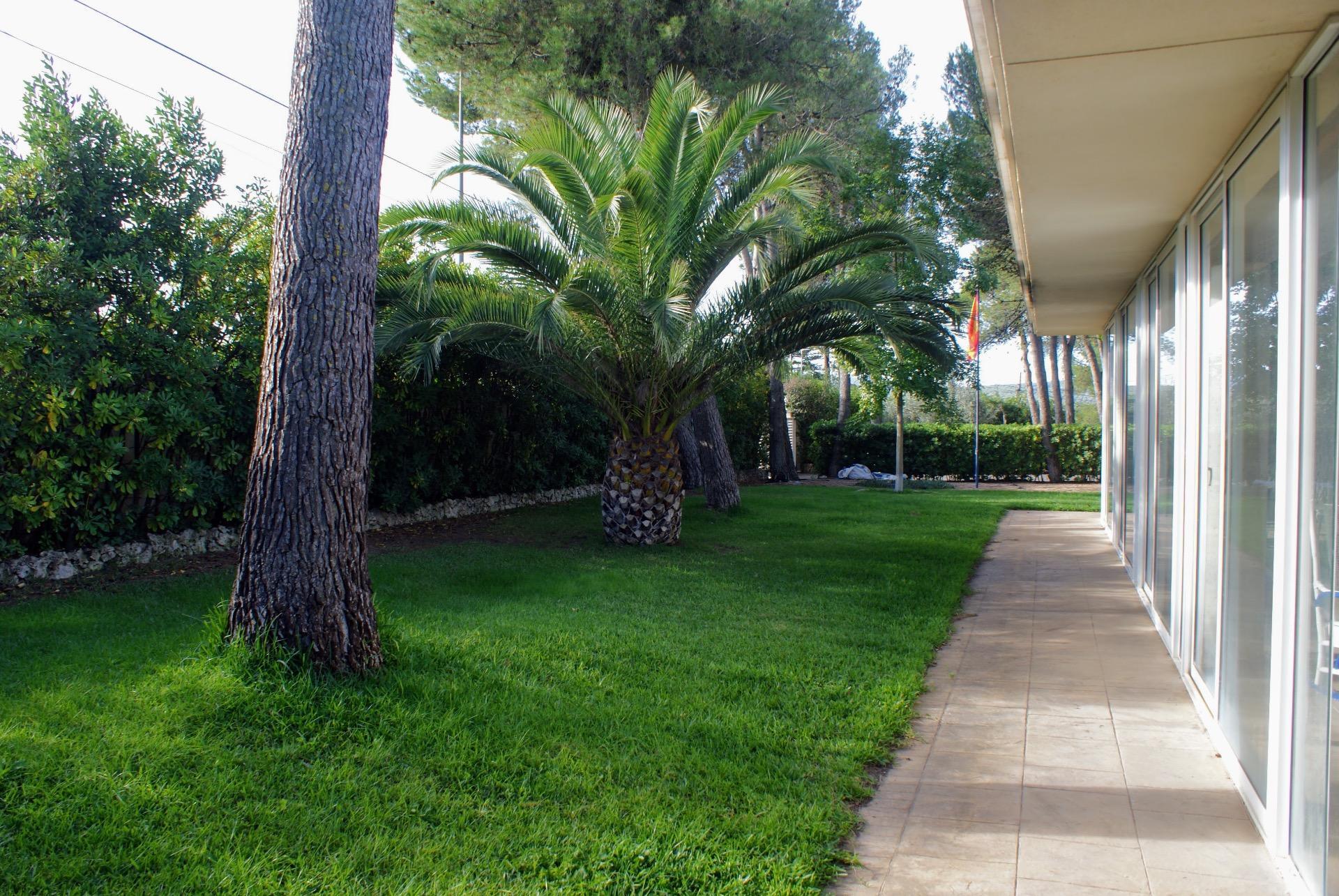 Casas o chalets-Venta-Banyeres de Mariola-1974106-Foto-35