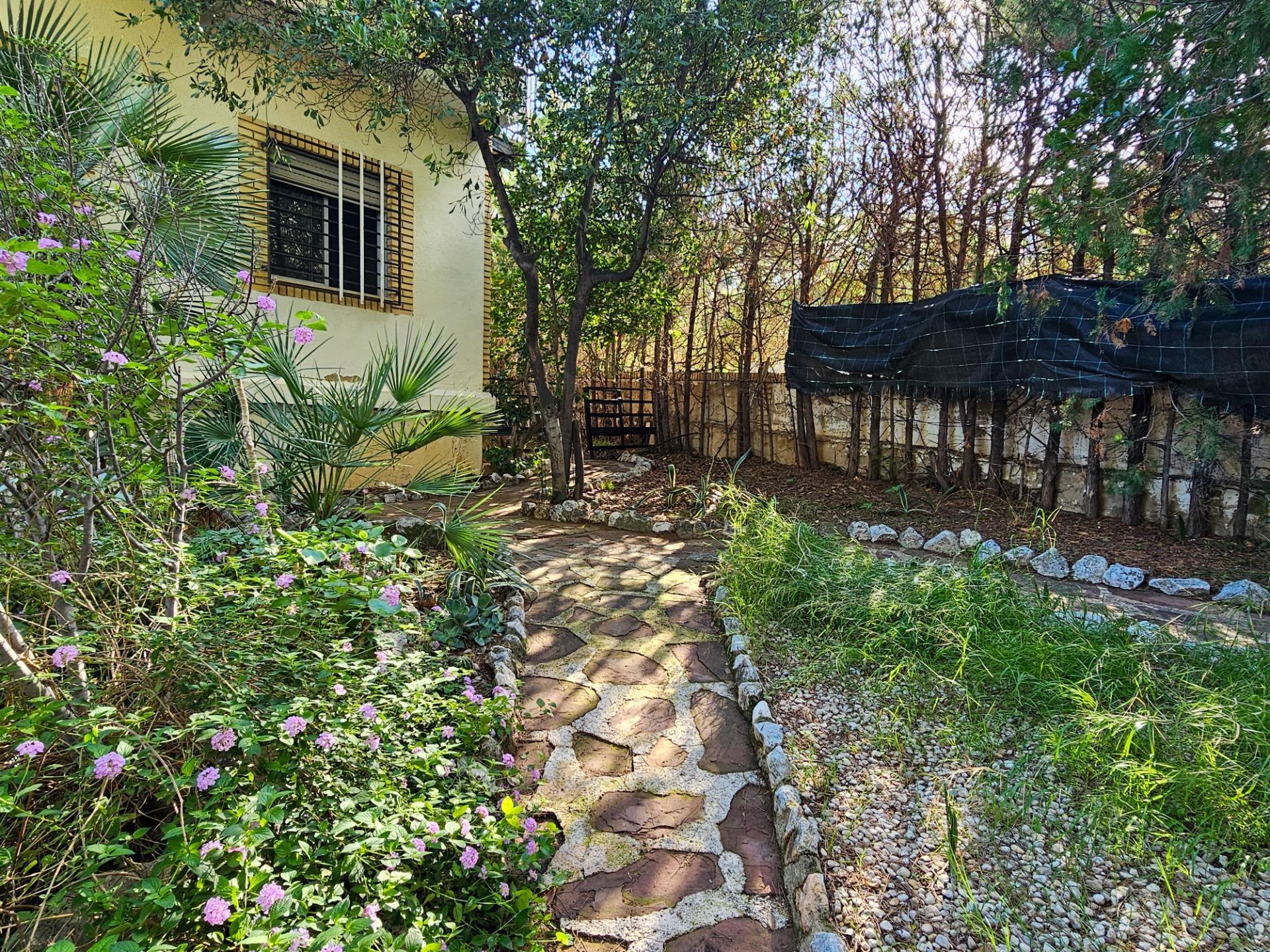 Casas o chalets-Venta-Chiva-1973648-Foto-13