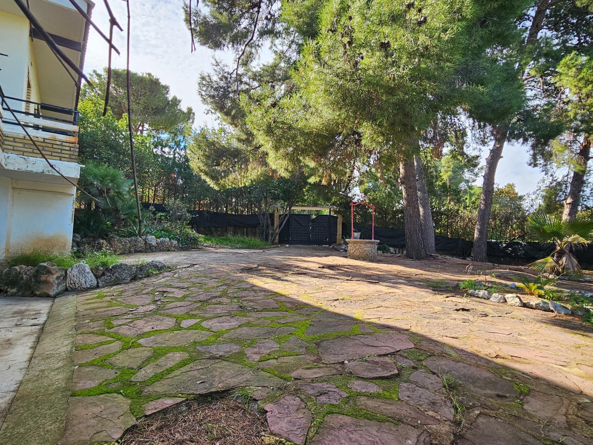 Casas o chalets-Venta-Chiva-1973648-Foto-28