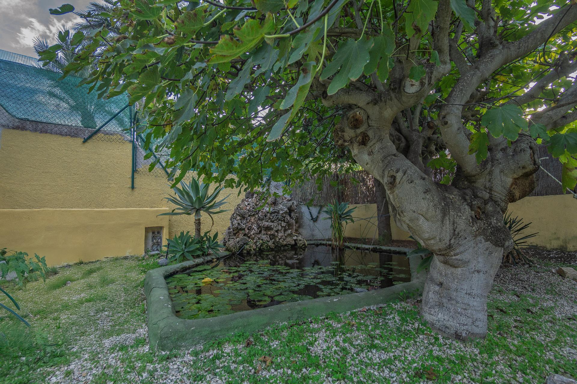 Casas o chalets-Venta-Benissa-1994570-Foto-38