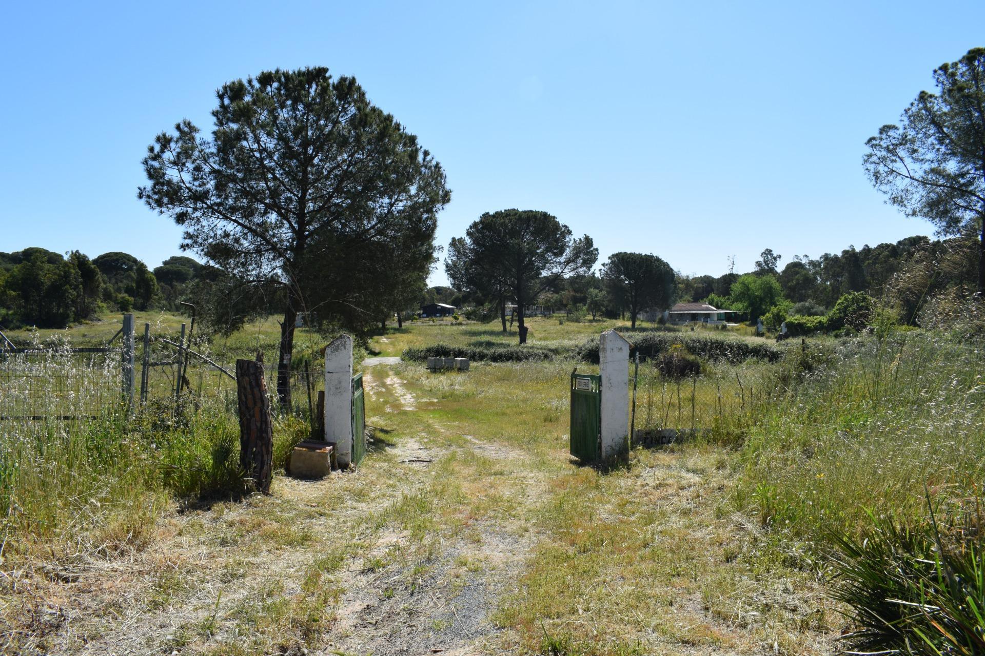 Pisos-Venta-Lucena del Puerto-1720632-Foto-3