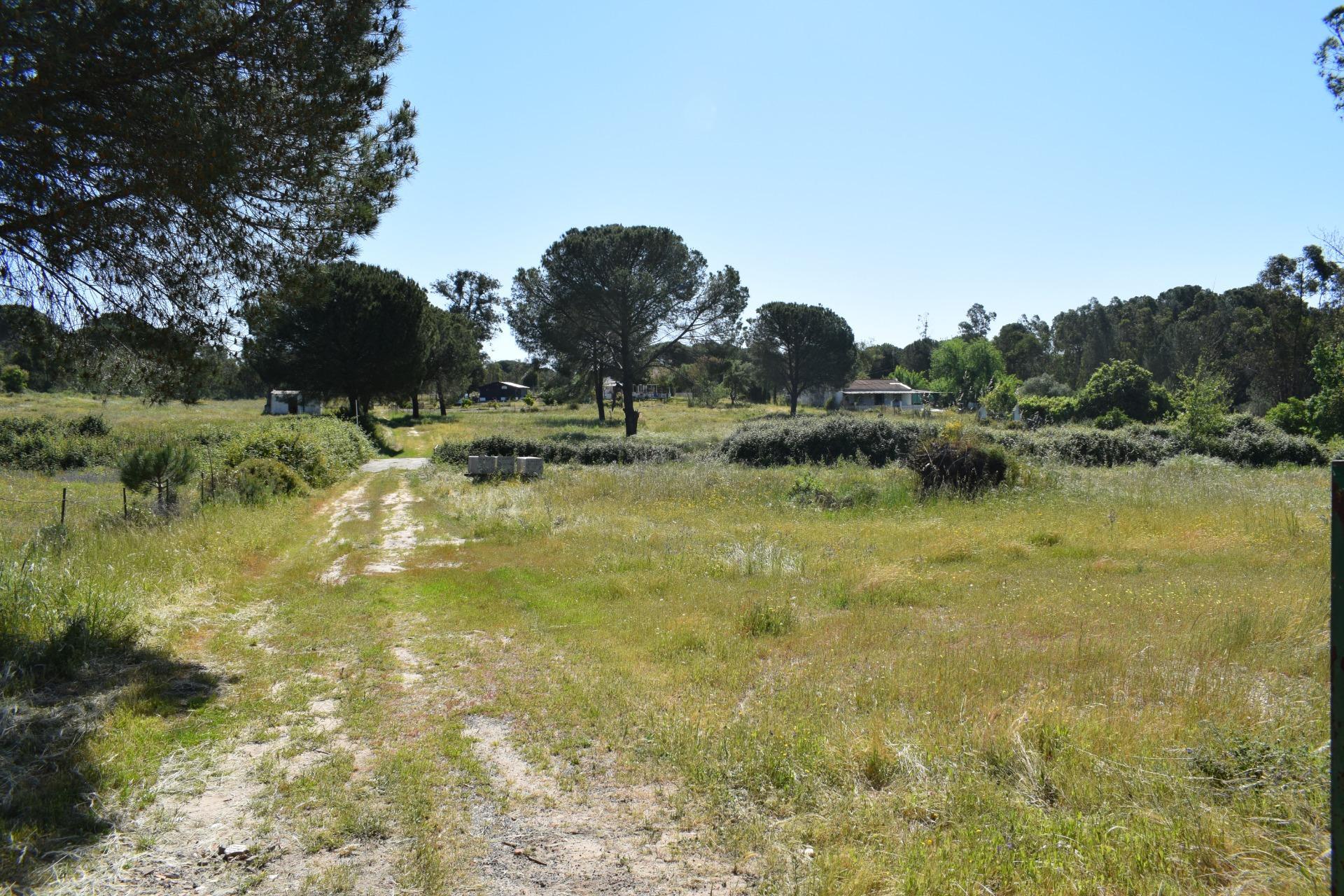 Pisos-Venta-Lucena del Puerto-1720632-Foto-4