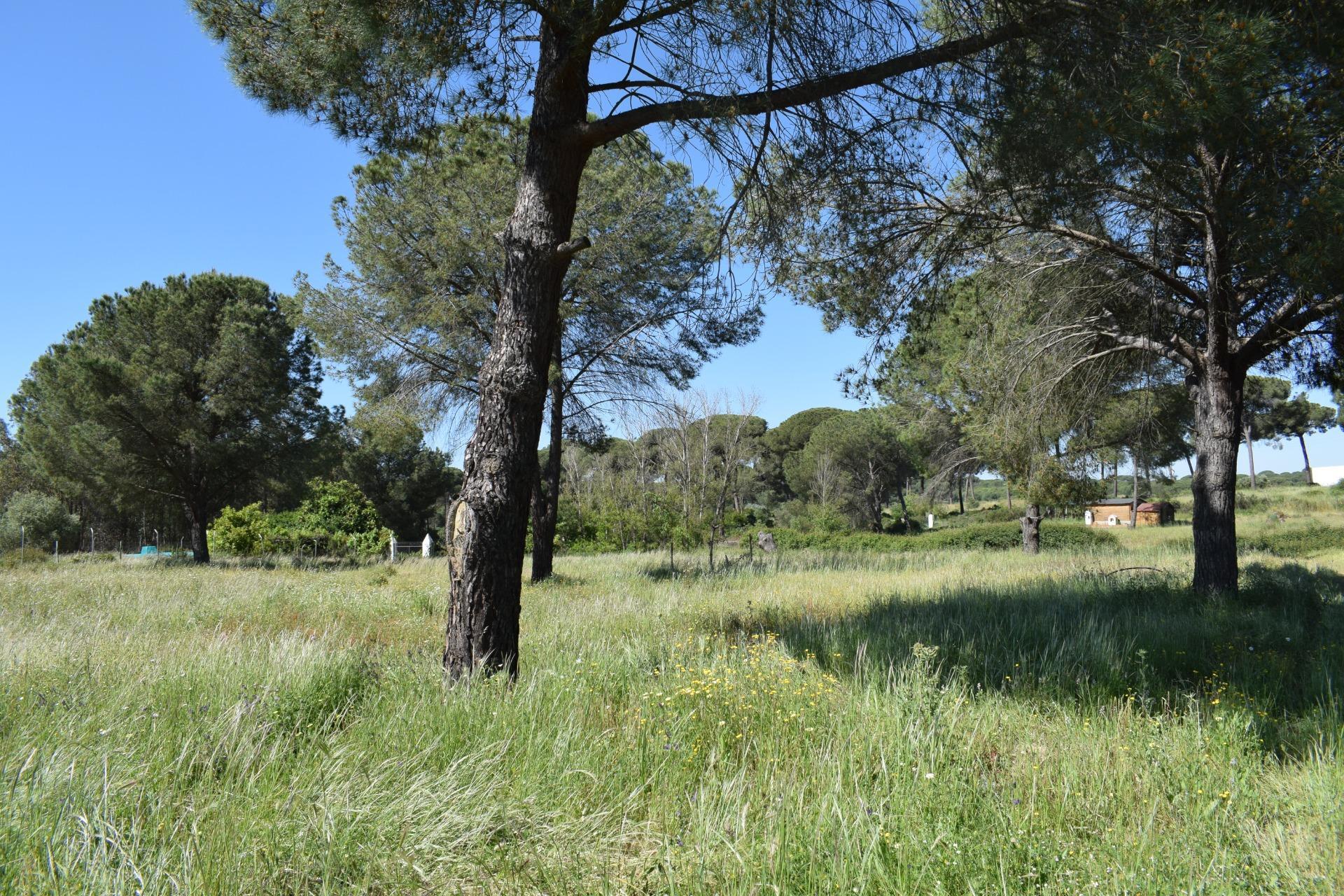 Pisos-Venta-Lucena del Puerto-1720632-Foto-53