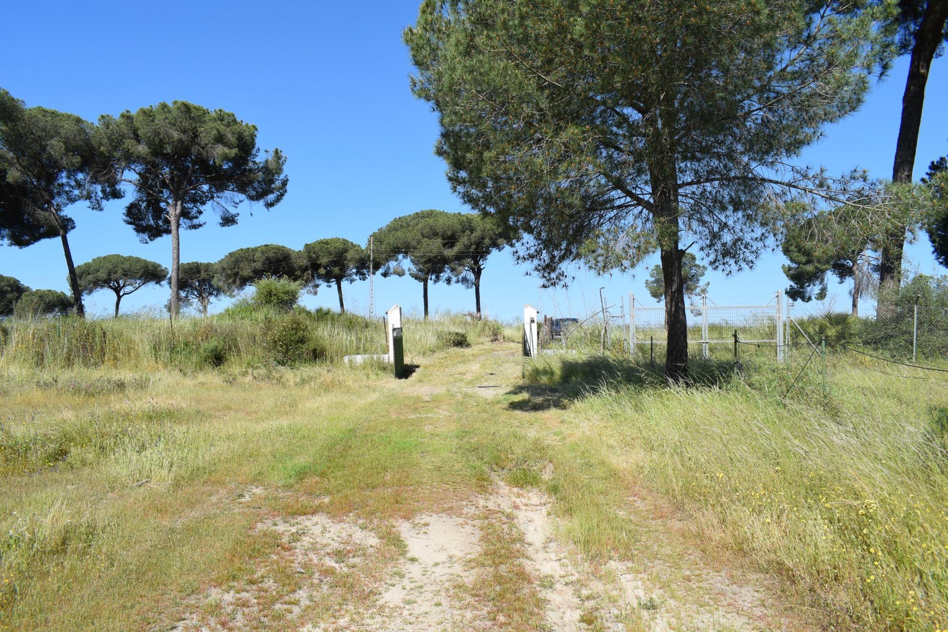 Pisos-Venta-Lucena del Puerto-1720632-Foto-50