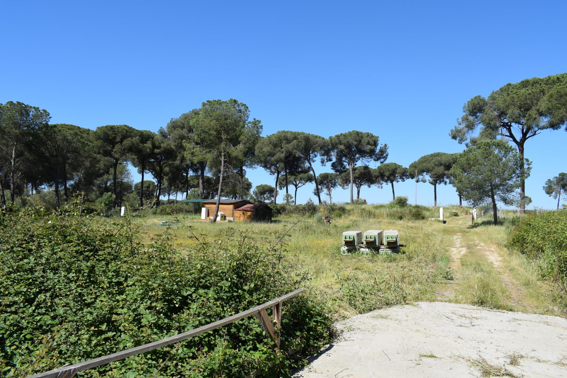 Pisos-Venta-Lucena del Puerto-1720632-Foto-51