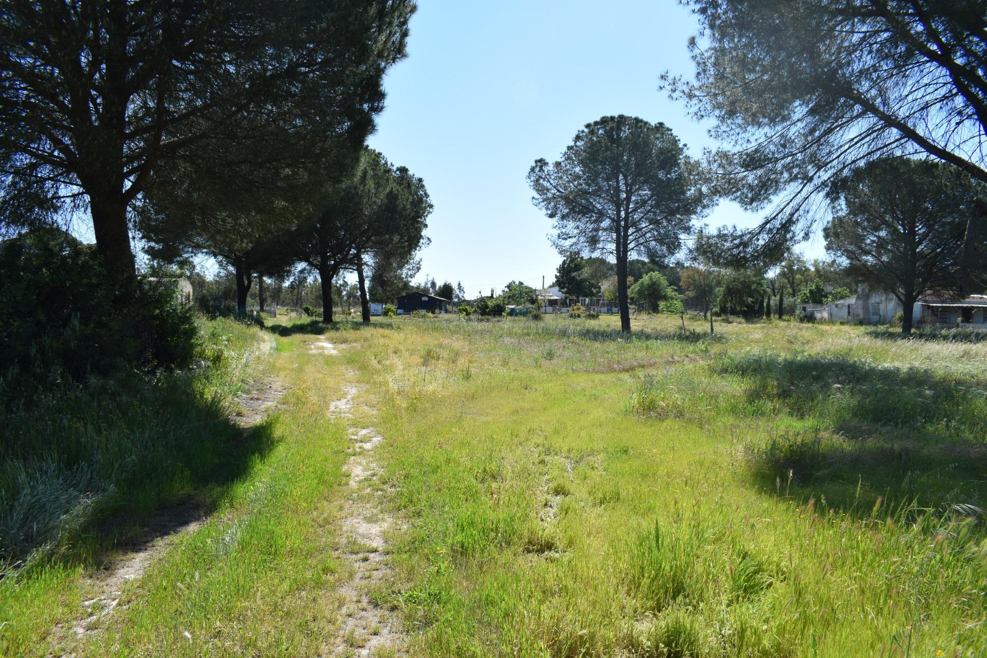 Pisos-Venta-Lucena del Puerto-1720632-Foto-52