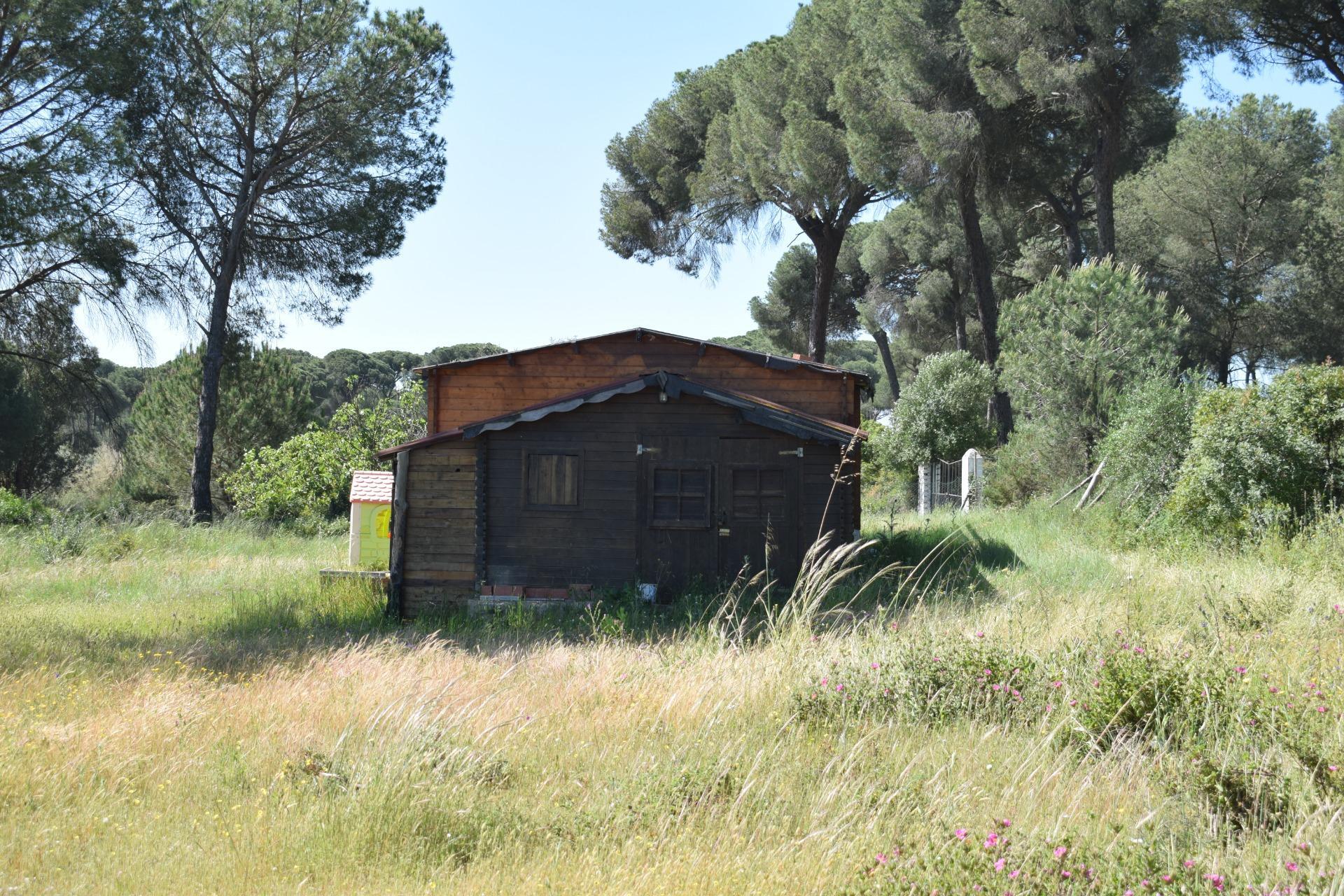 Pisos-Venta-Lucena del Puerto-1720632-Foto-49