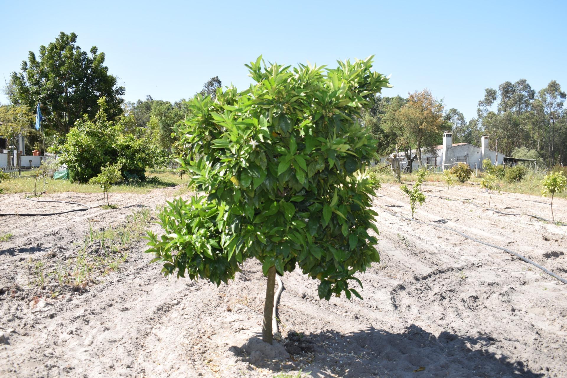 Pisos-Venta-Lucena del Puerto-1720632-Foto-55