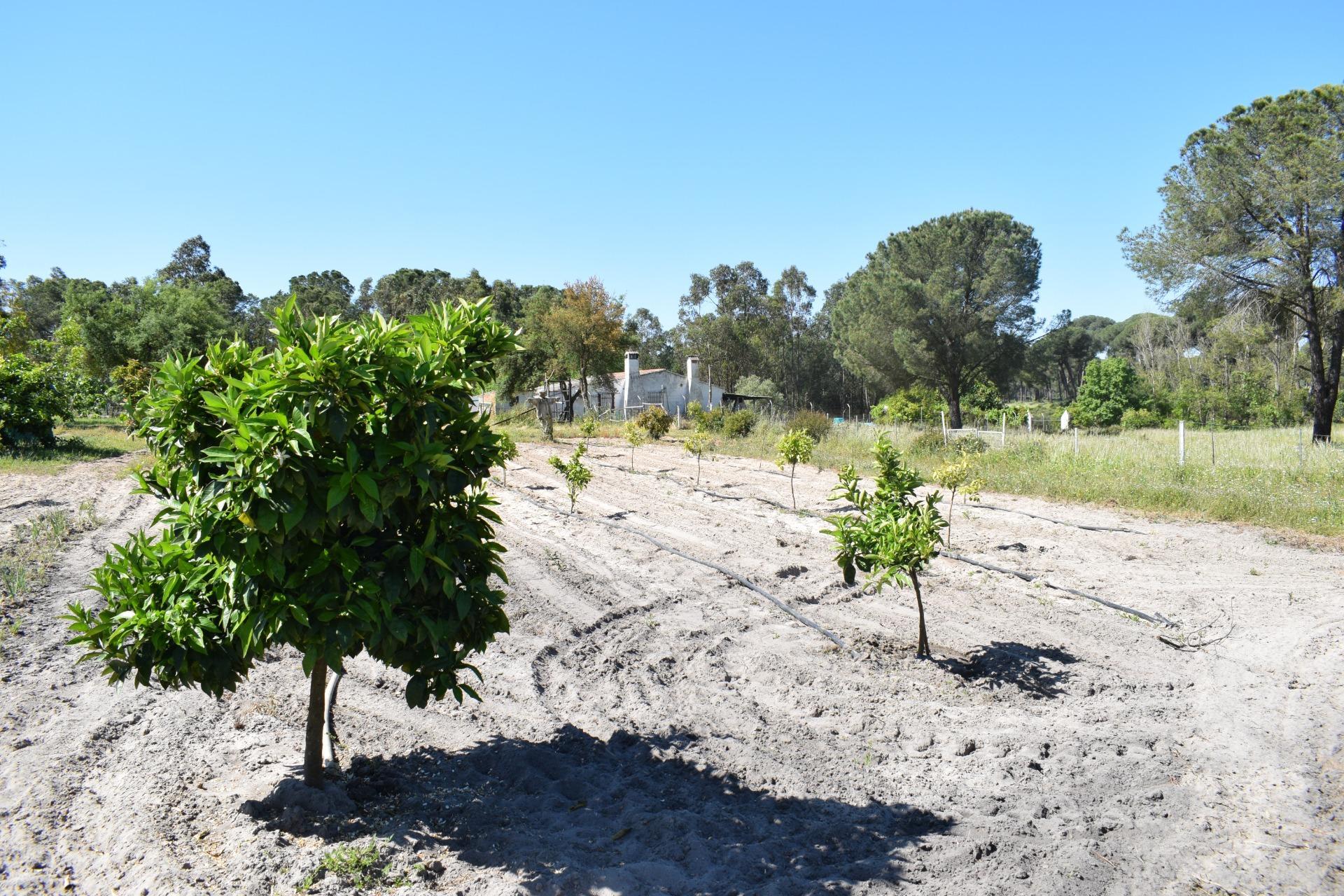 Pisos-Venta-Lucena del Puerto-1720632-Foto-54