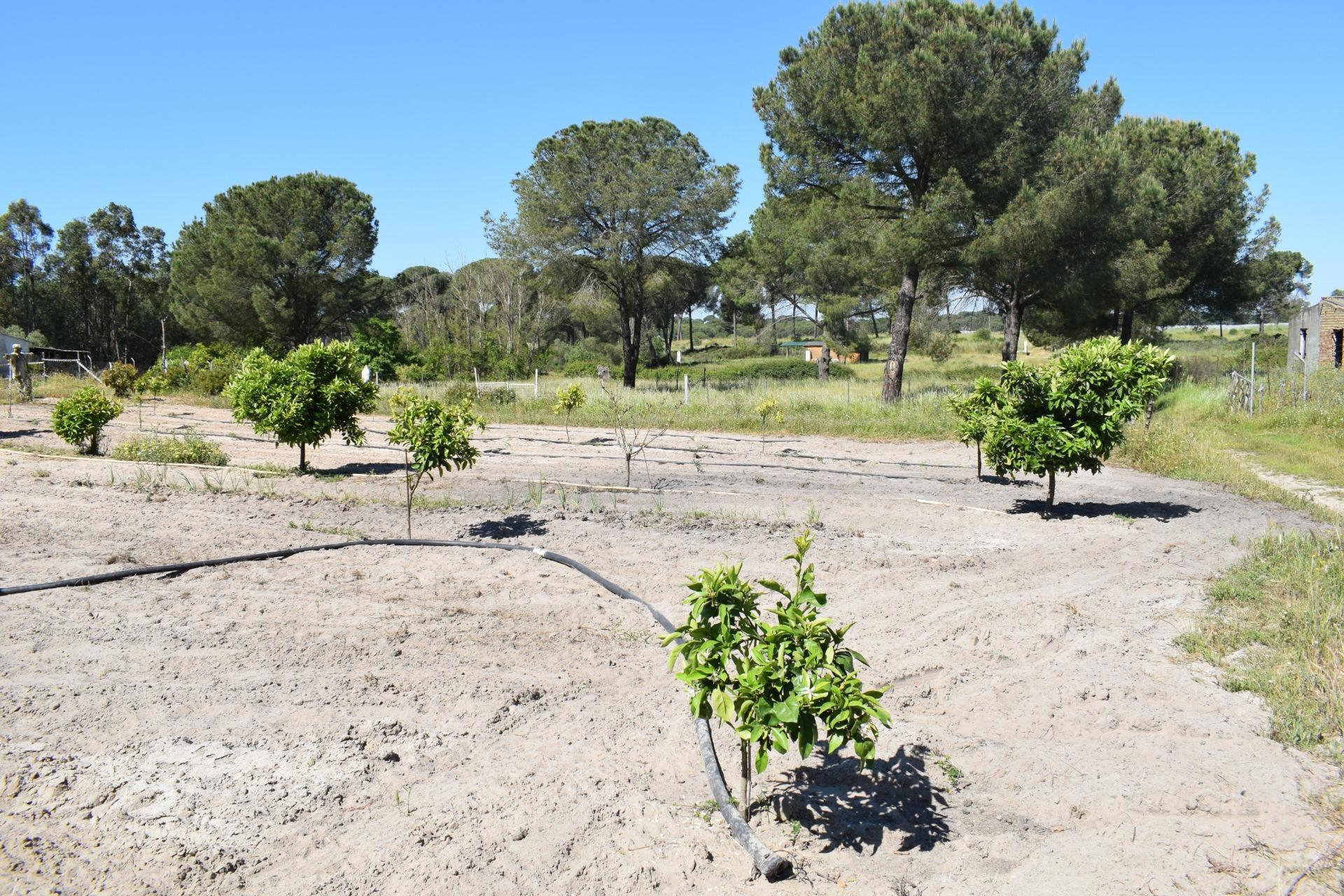 Pisos-Venta-Lucena del Puerto-1720632-Foto-56