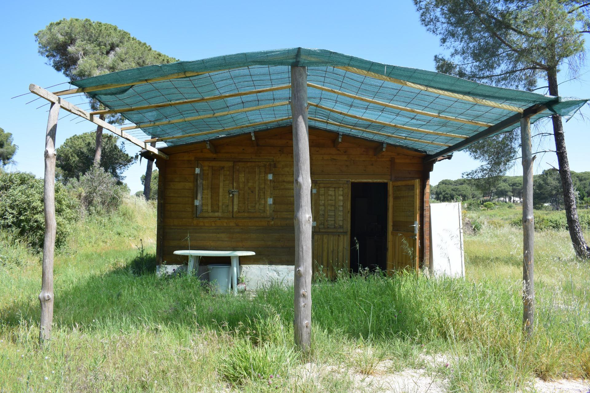 Pisos-Venta-Lucena del Puerto-1720632-Foto-62