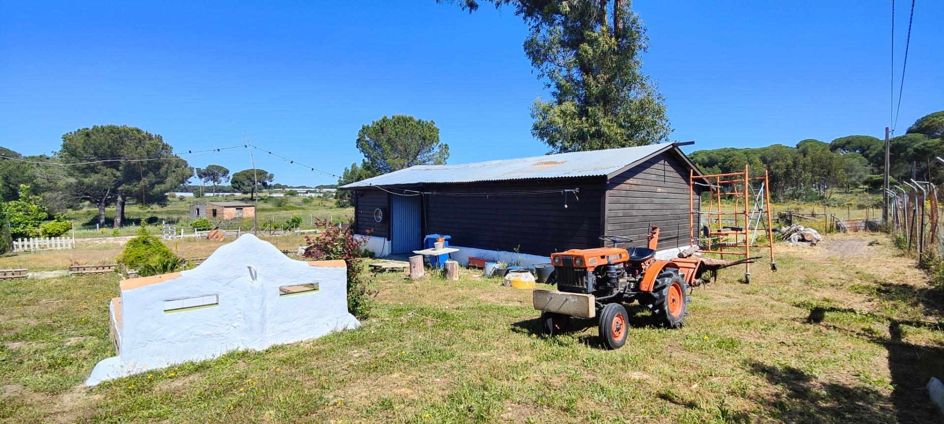 Pisos-Venta-Lucena del Puerto-1720632-Foto-75