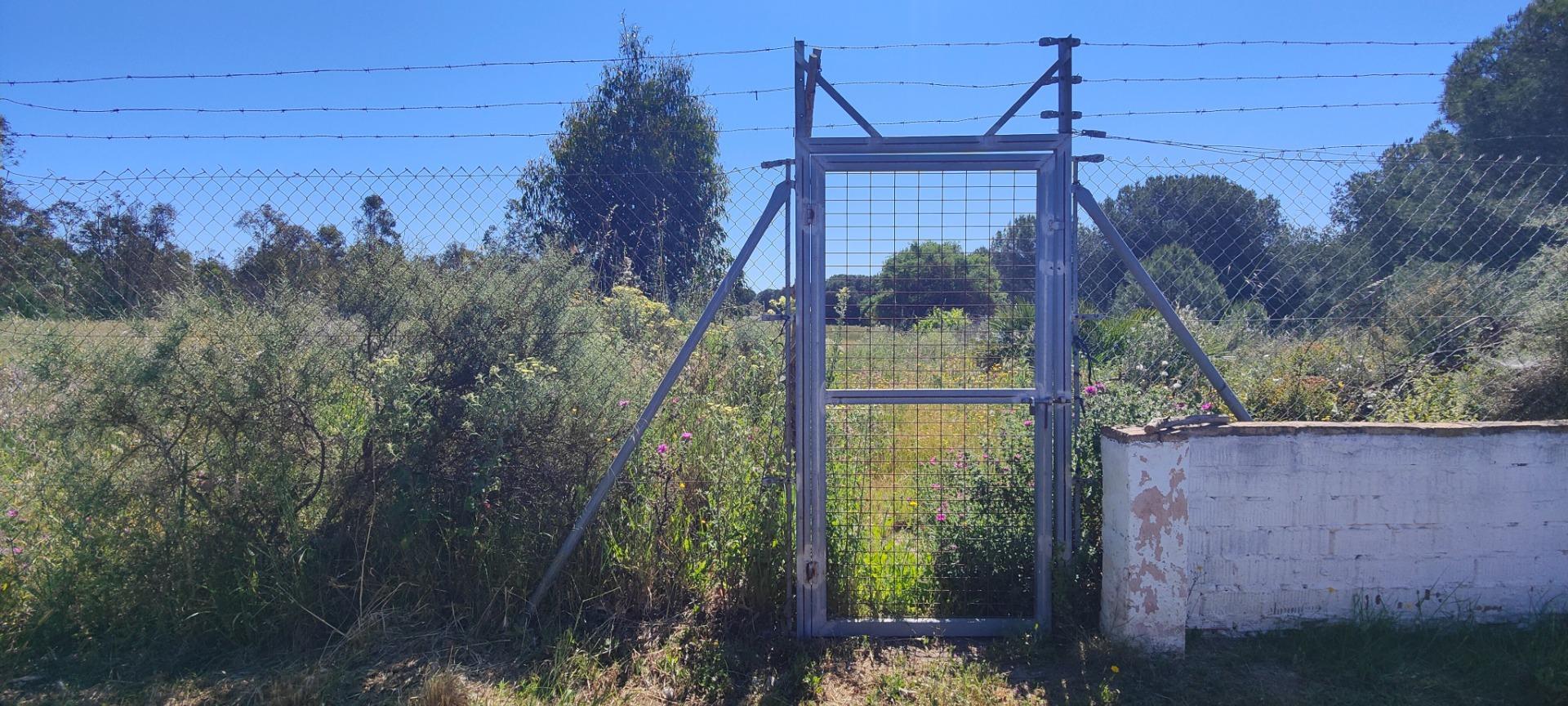 Pisos-Venta-Lucena del Puerto-1720632-Foto-82