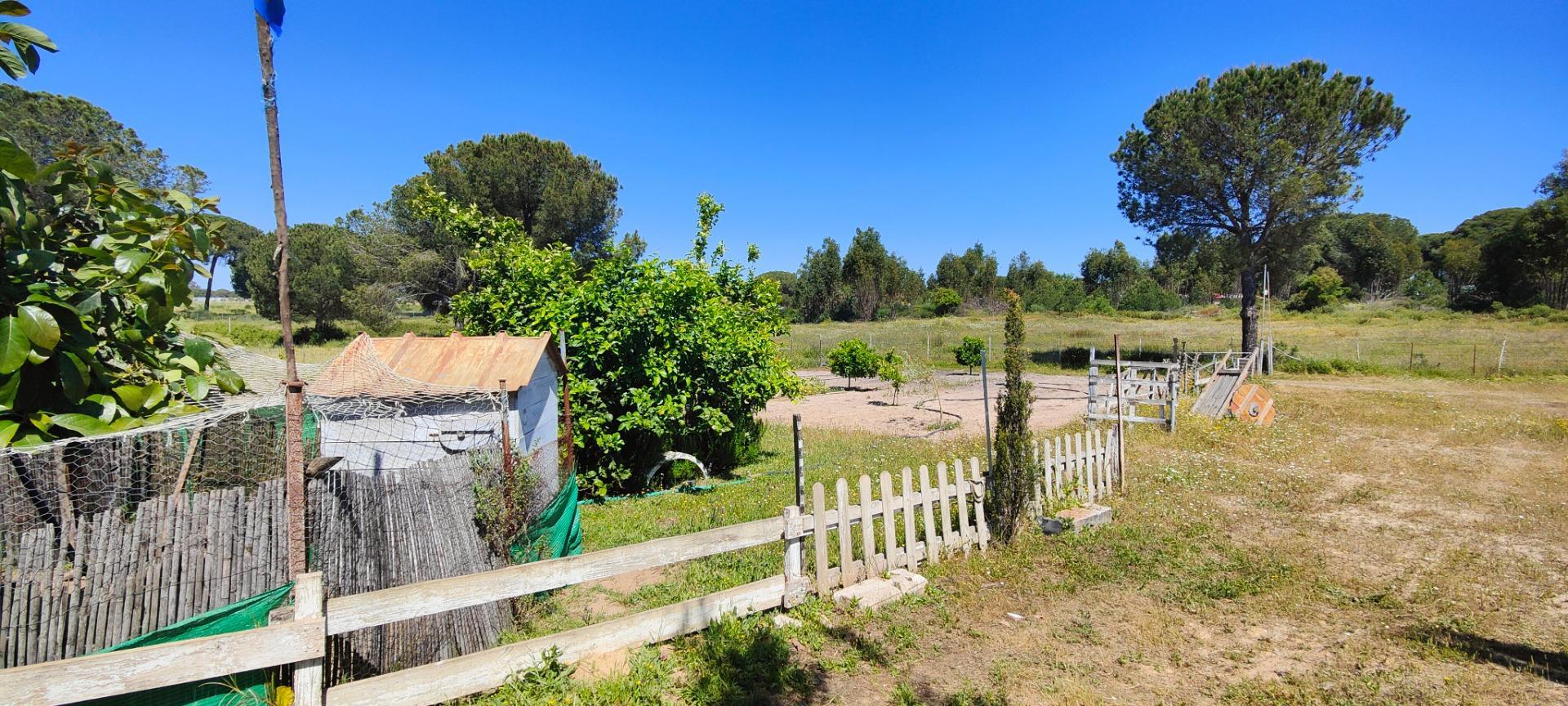 Pisos-Venta-Lucena del Puerto-1720632-Foto-86