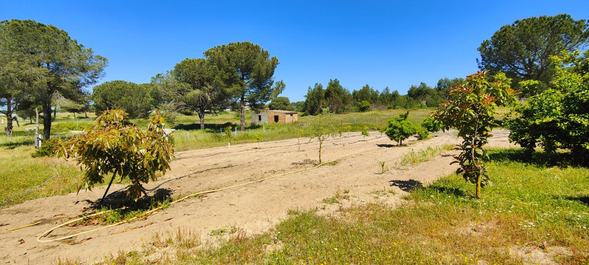 Pisos-Venta-Lucena del Puerto-1720632-Foto-87