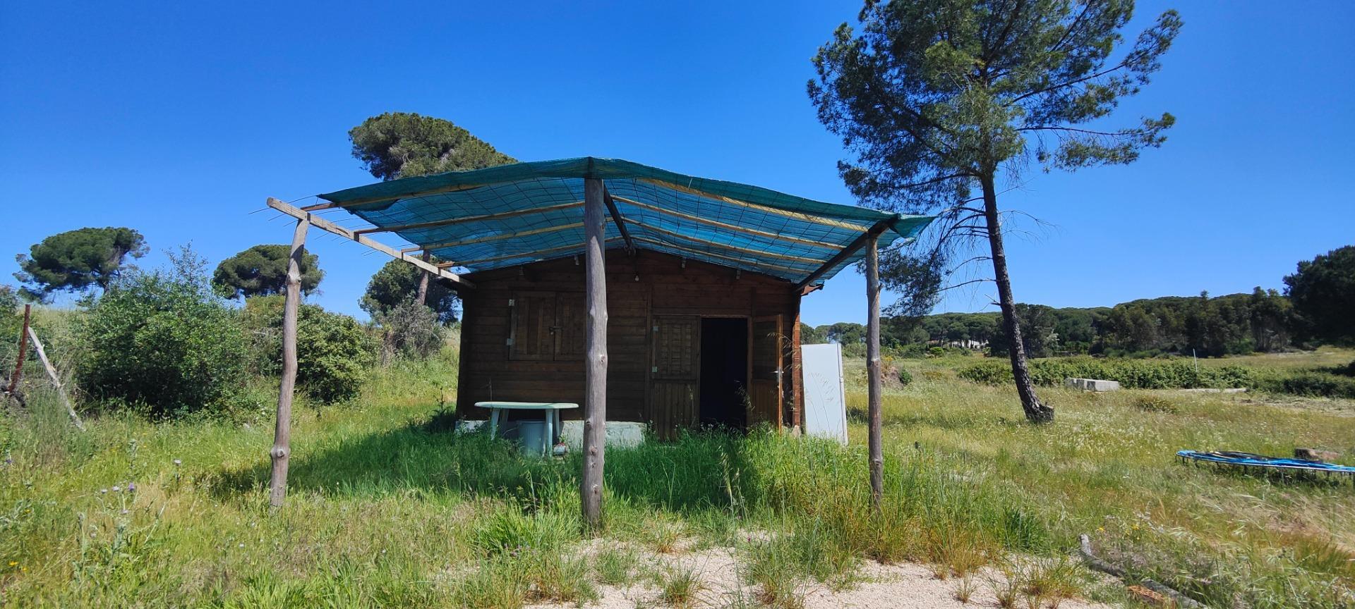 Pisos-Venta-Lucena del Puerto-1720632-Foto-89