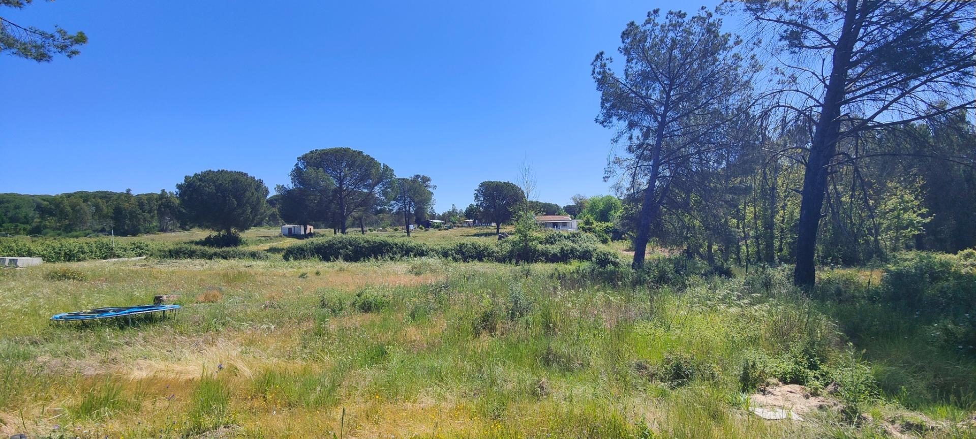 Pisos-Venta-Lucena del Puerto-1720632-Foto-90