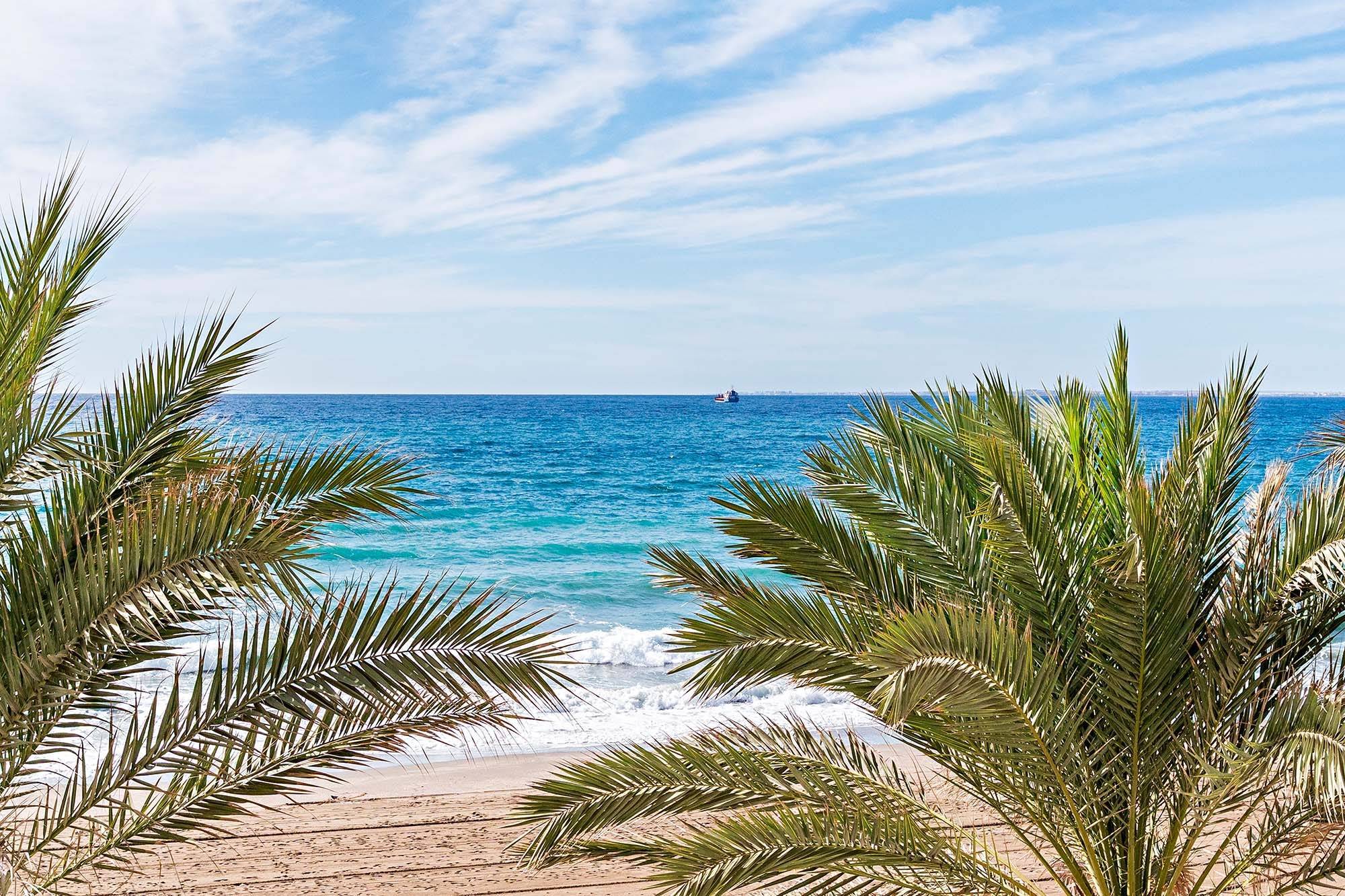 Pisos-Alquiler-AlmerÃ­a-1974133-Foto-25