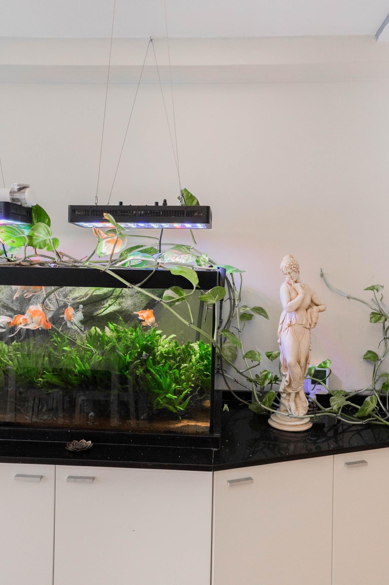 Pisos-Venta-Torremolinos-1974154-Foto-6