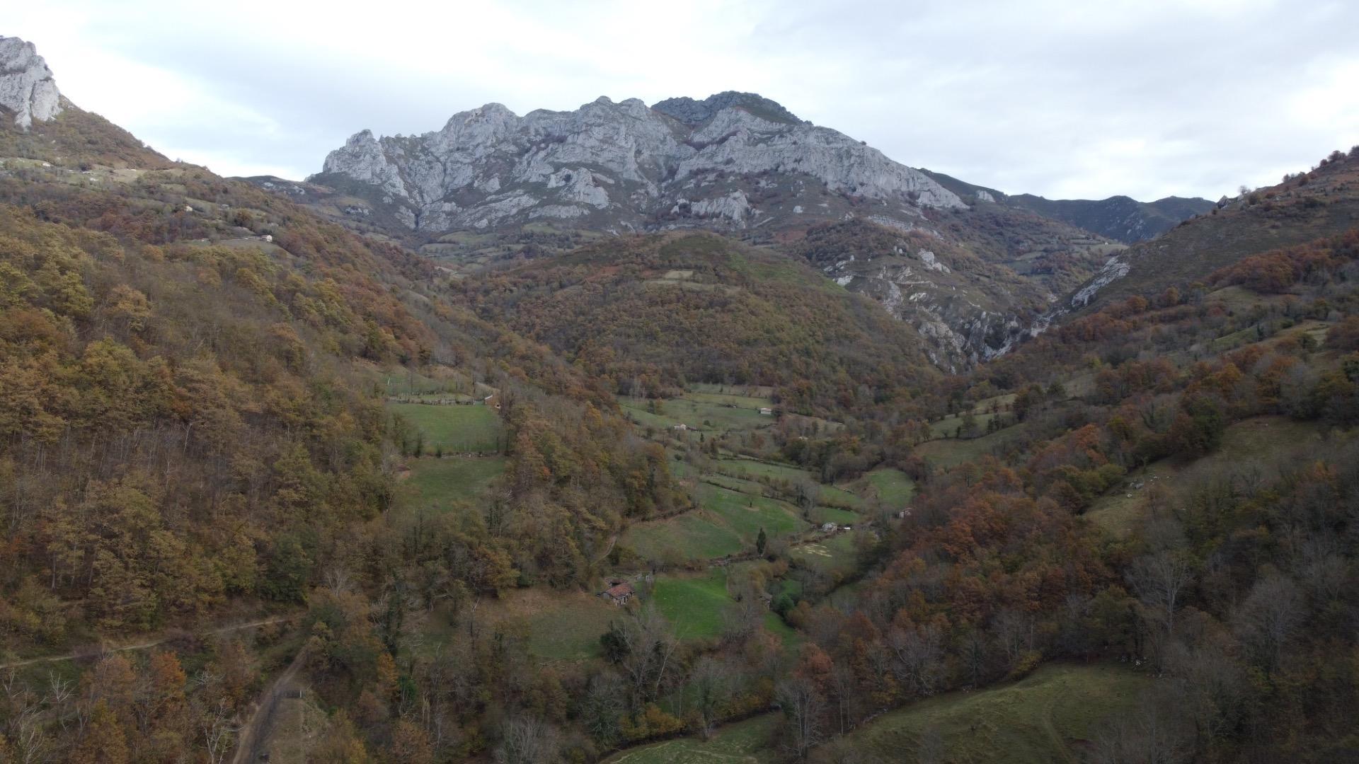 Casas o chalets-Venta-Aller-1974145-Foto-23