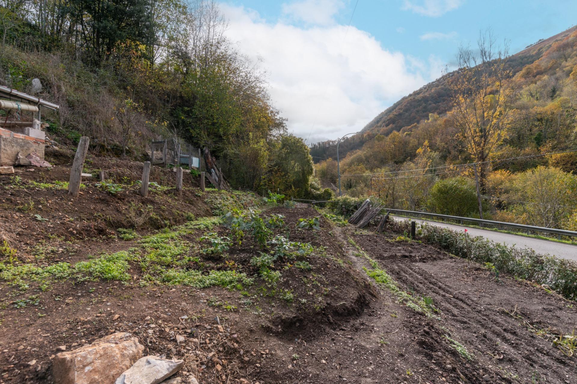 Casas o chalets-Venta-Aller-1974145-Foto-22