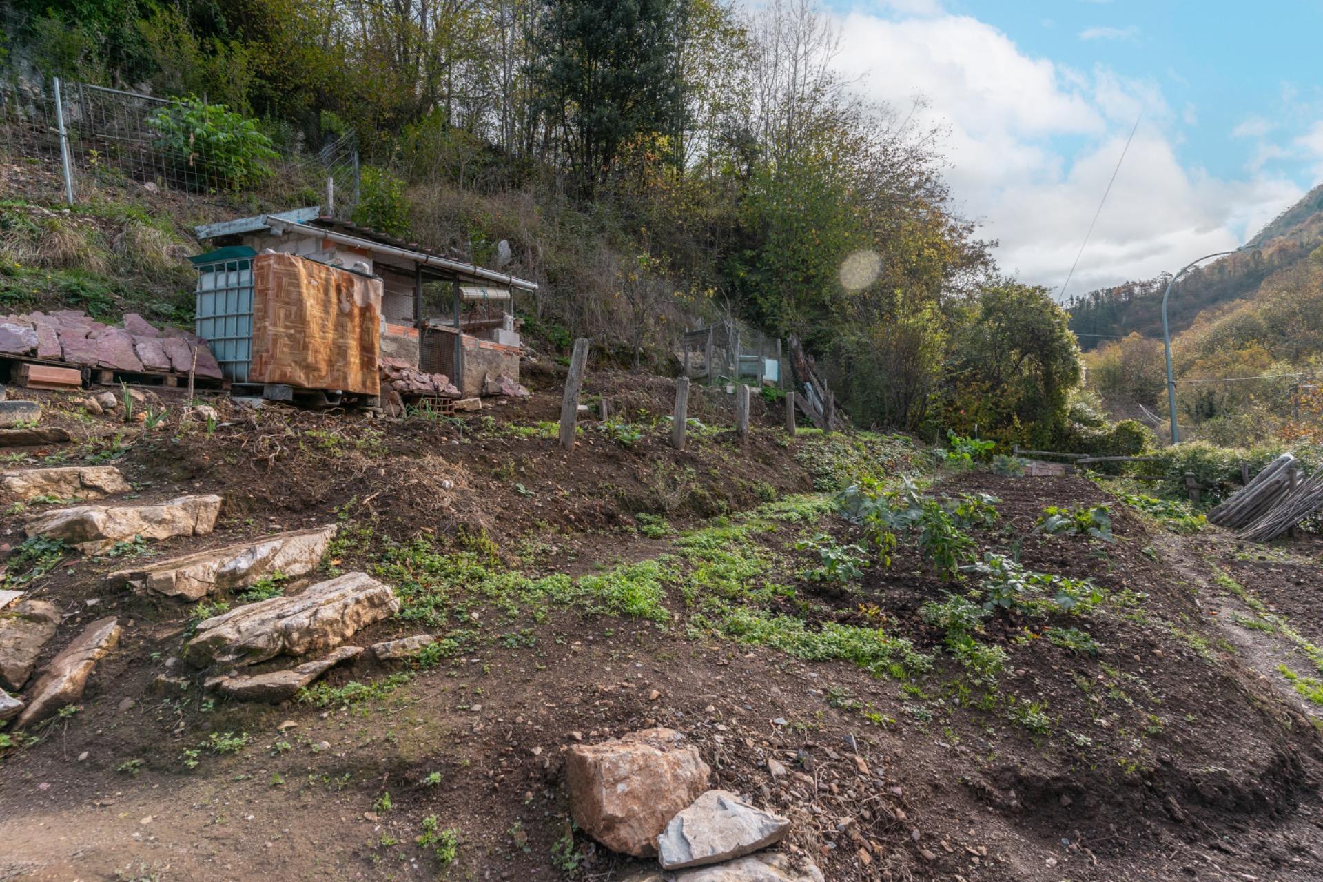 Casas o chalets-Venta-Aller-1974145-Foto-47