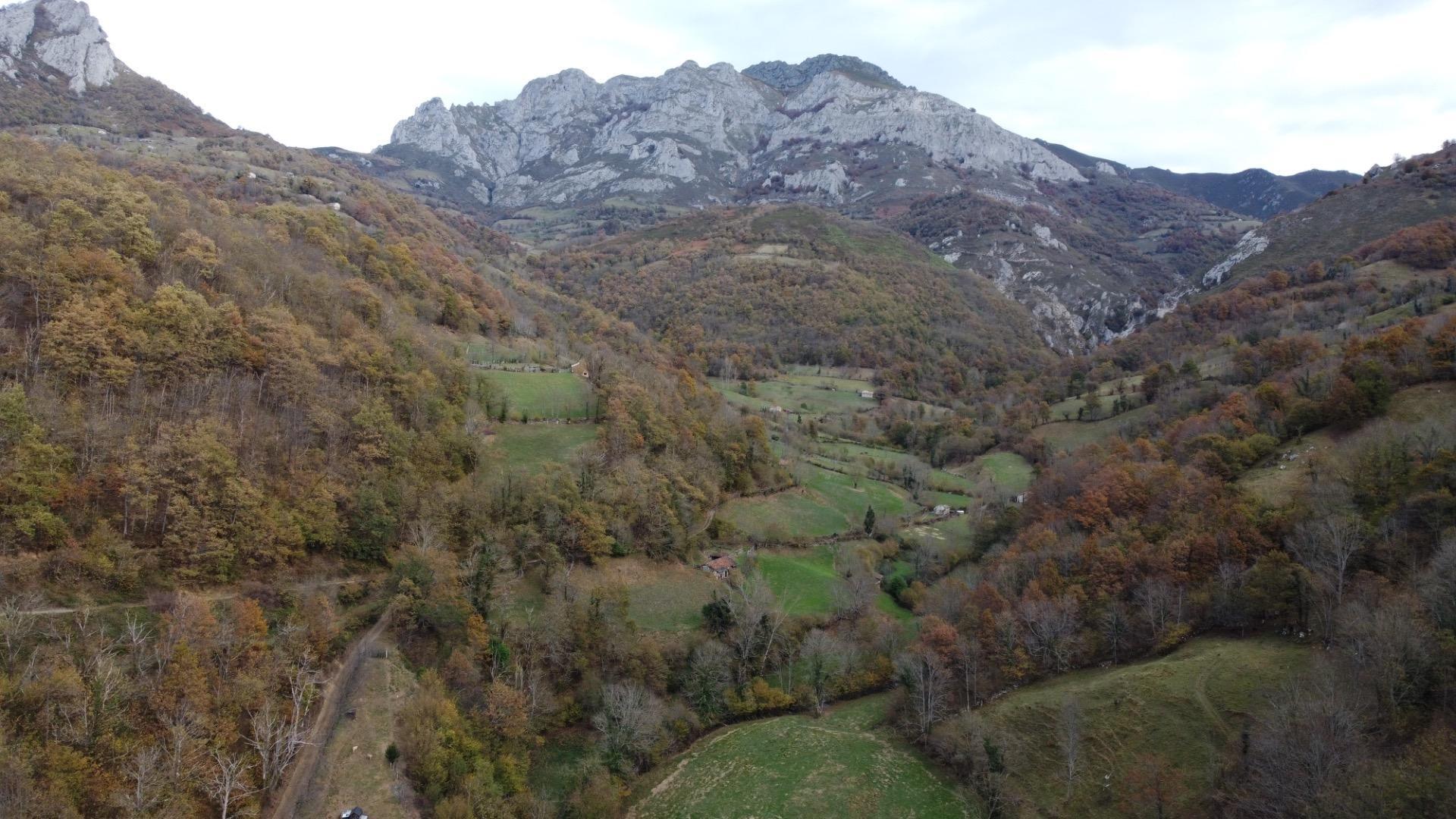 Casas o chalets-Venta-Aller-1974145-Foto-57