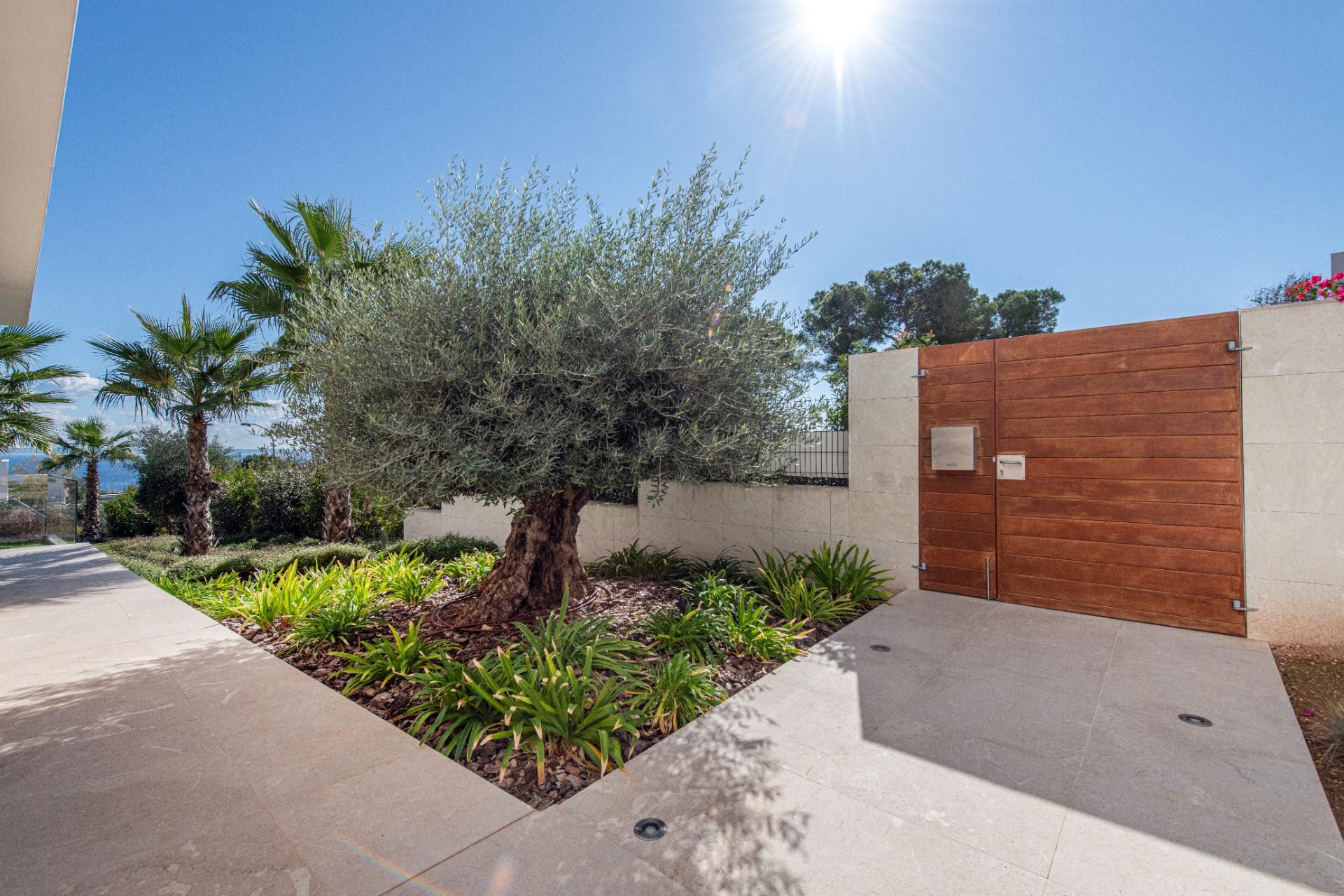 Casas o chalets-Venta-CalviÃ -1977726-Foto-33