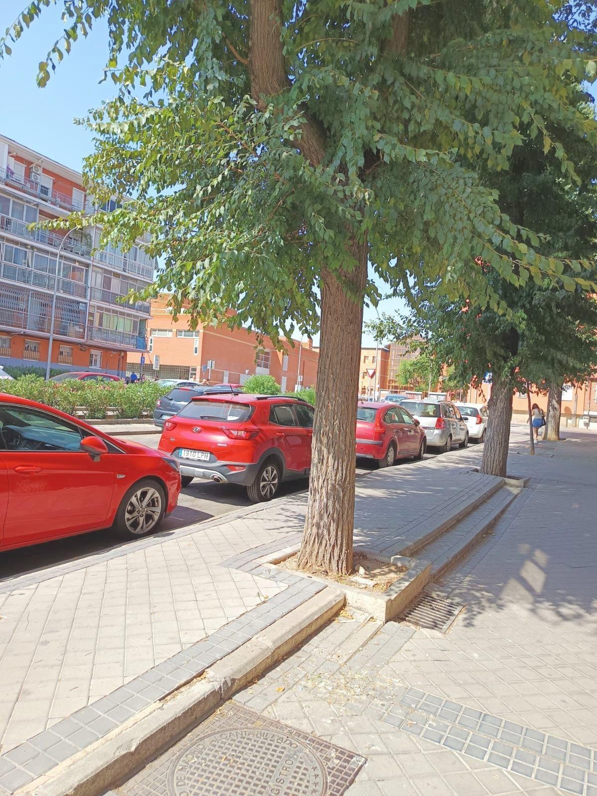 Pisos-Alquiler-Madrid-1974160-Foto-36